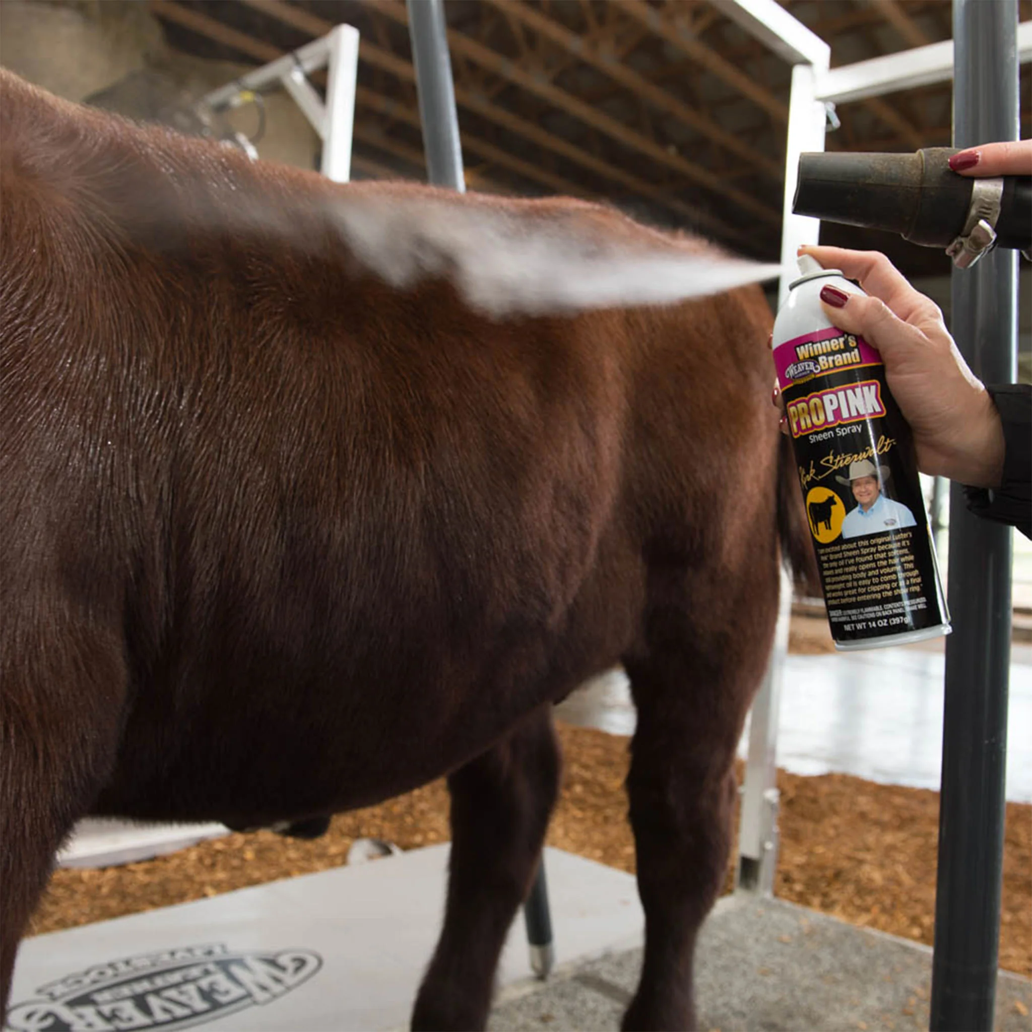 8' Professional Cattle Chute - Image 3
