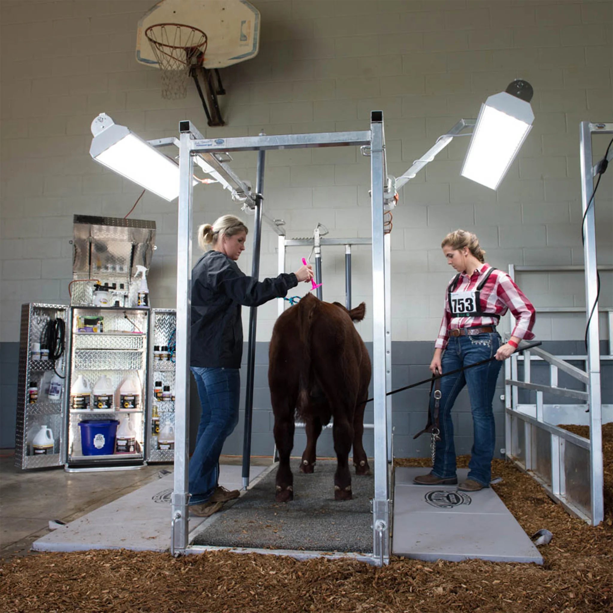 8' Professional Cattle Chute - Image 4