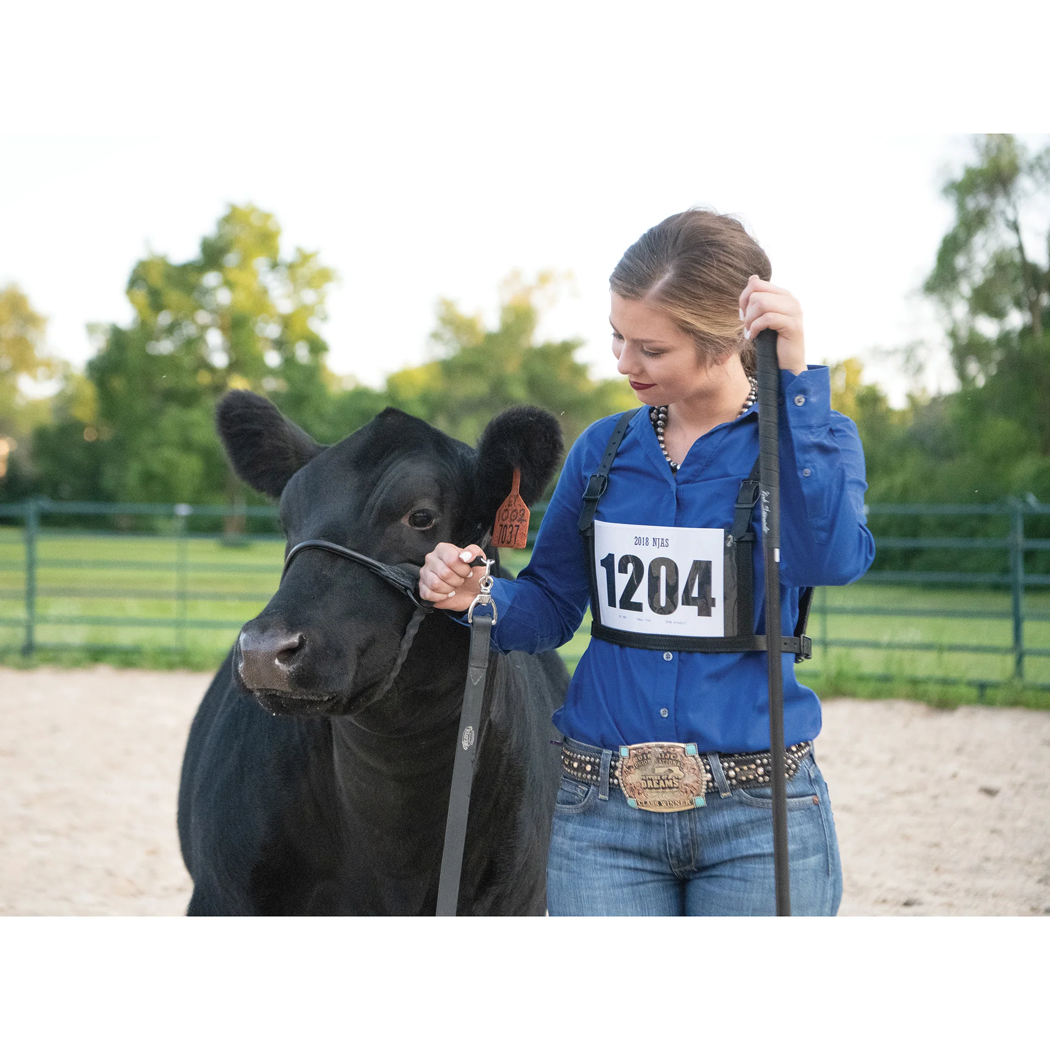 Black Magic Show Halter - Image 7
