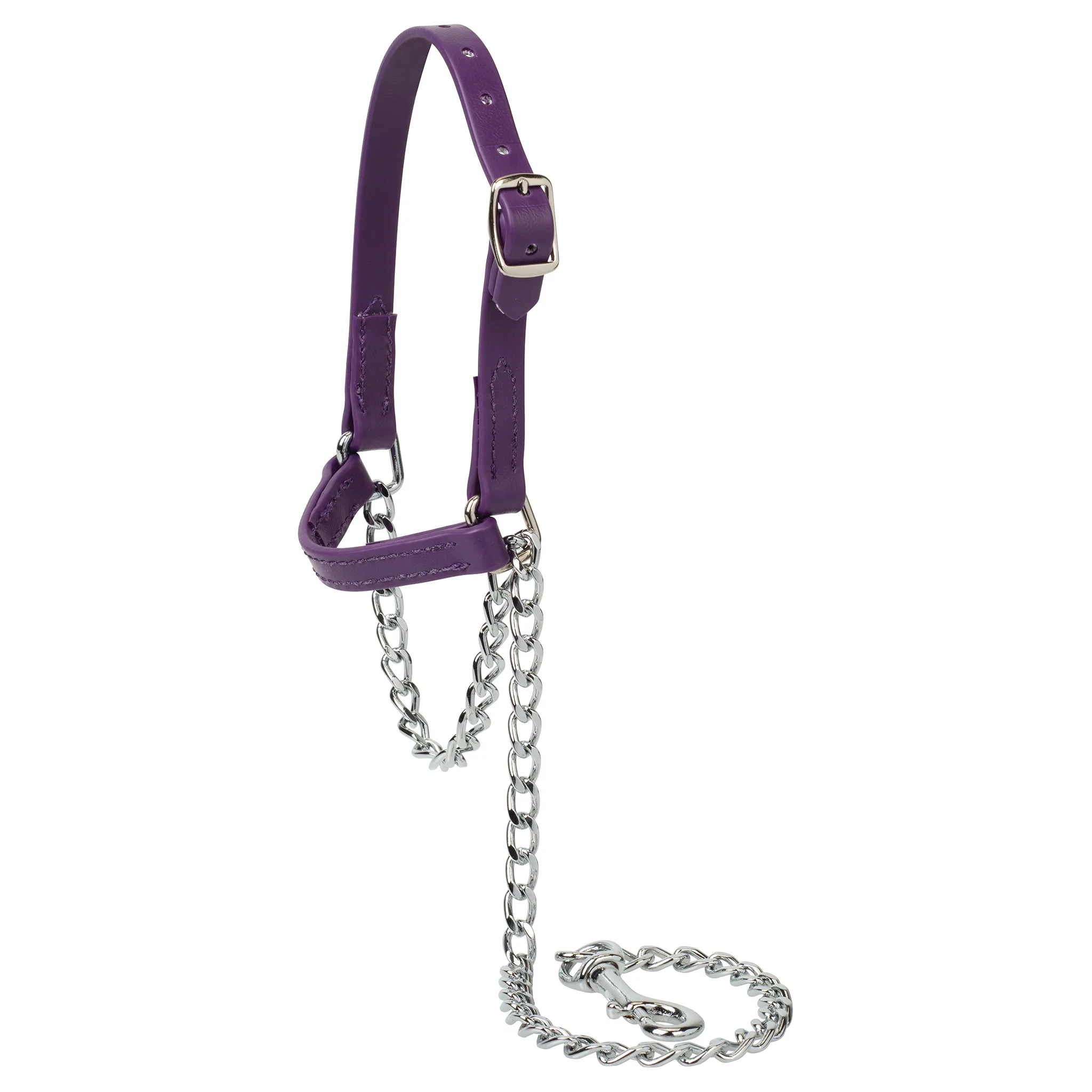 Sheep and Goat Brahma Webb® Halters - Image 5