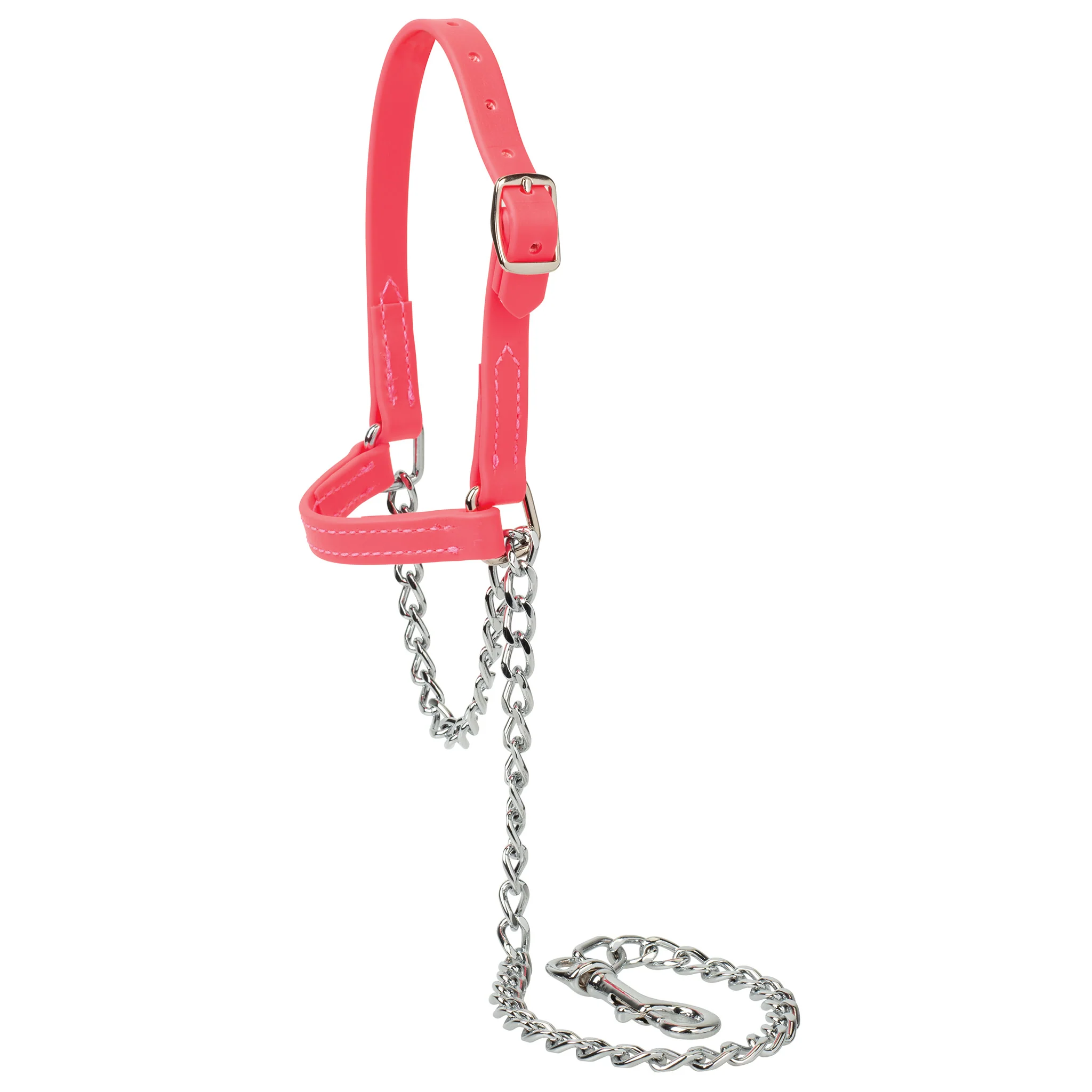 Sheep and Goat Brahma Webb® Halters - Image 6
