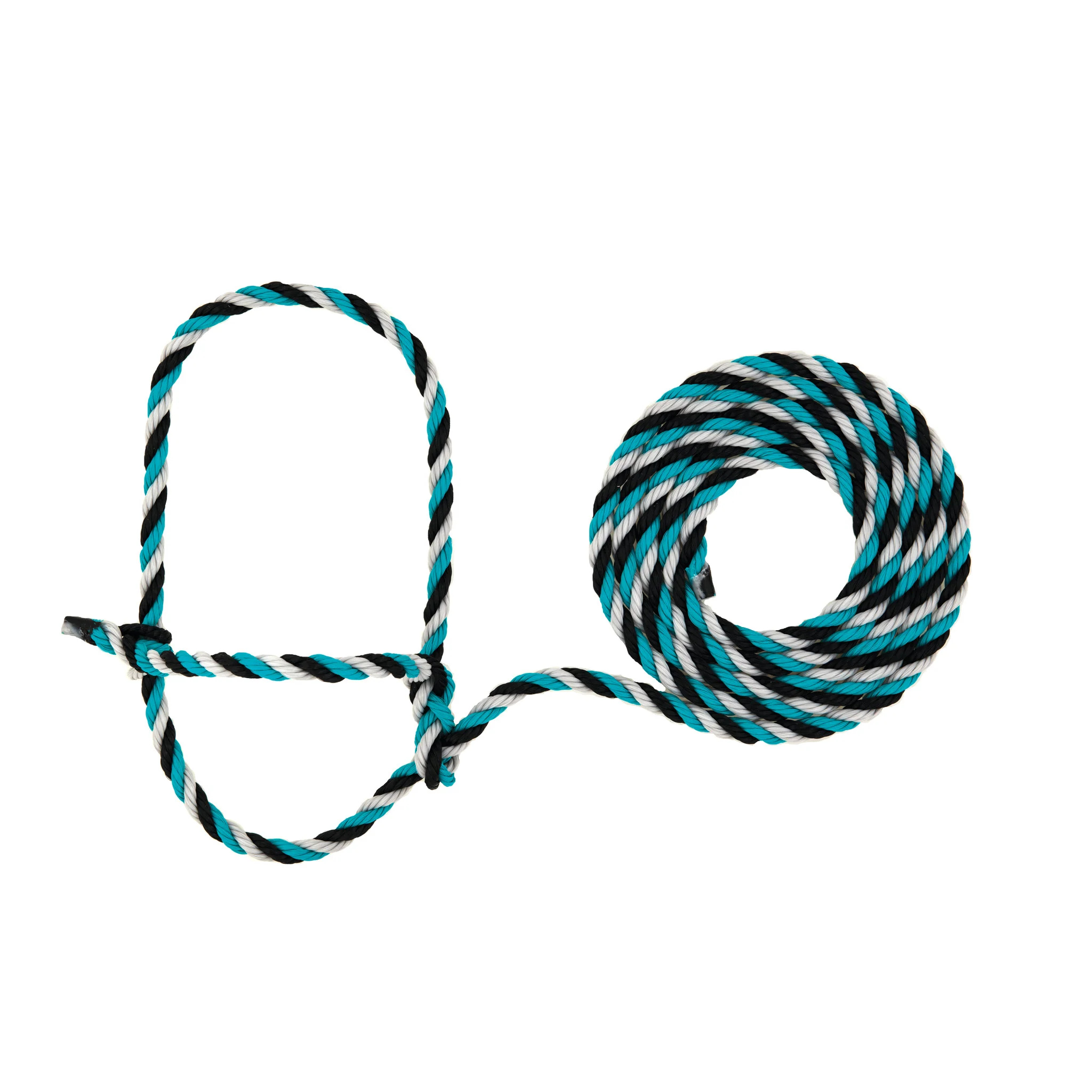 Cattle Rope Halter - Image 14