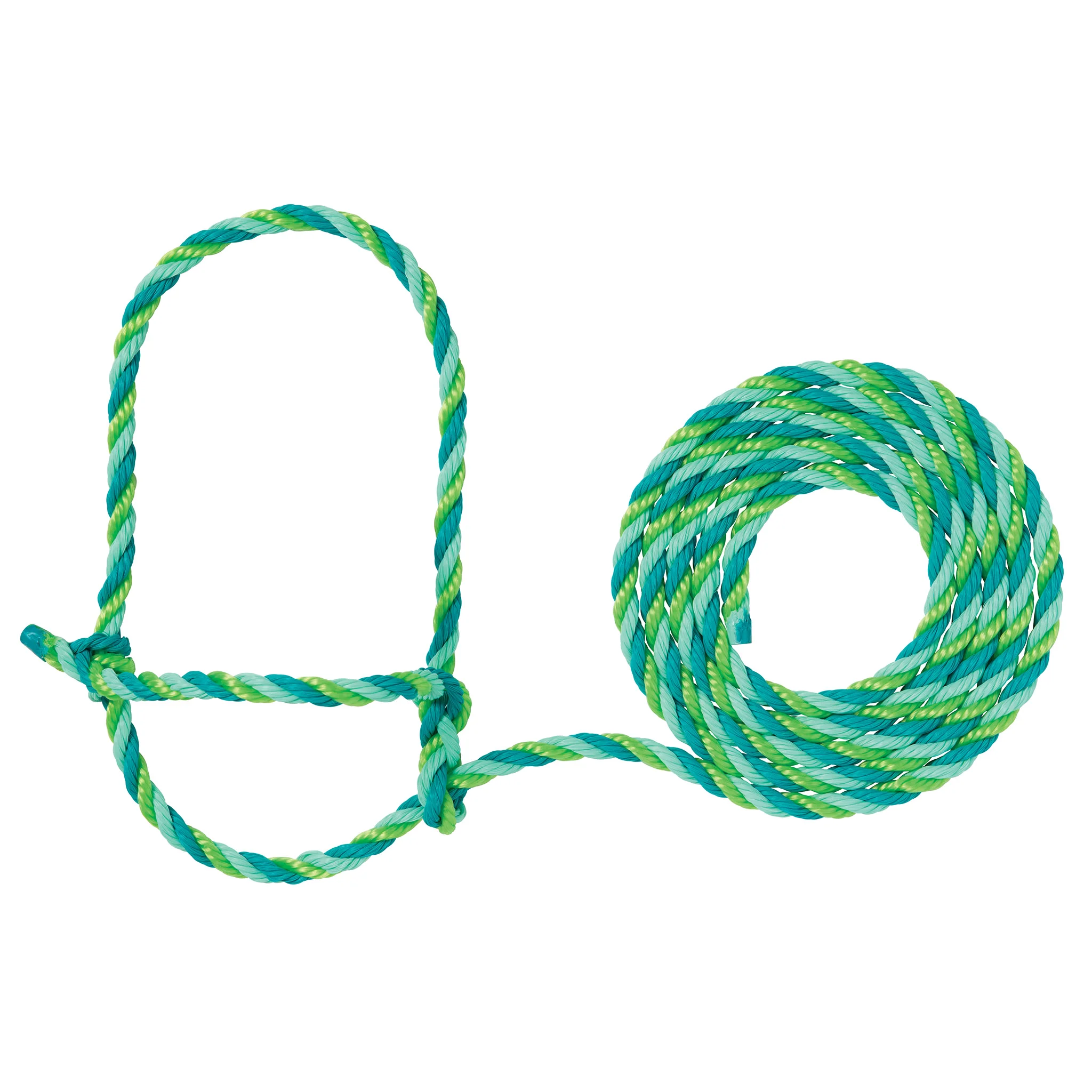 Cattle Rope Halter - Image 19