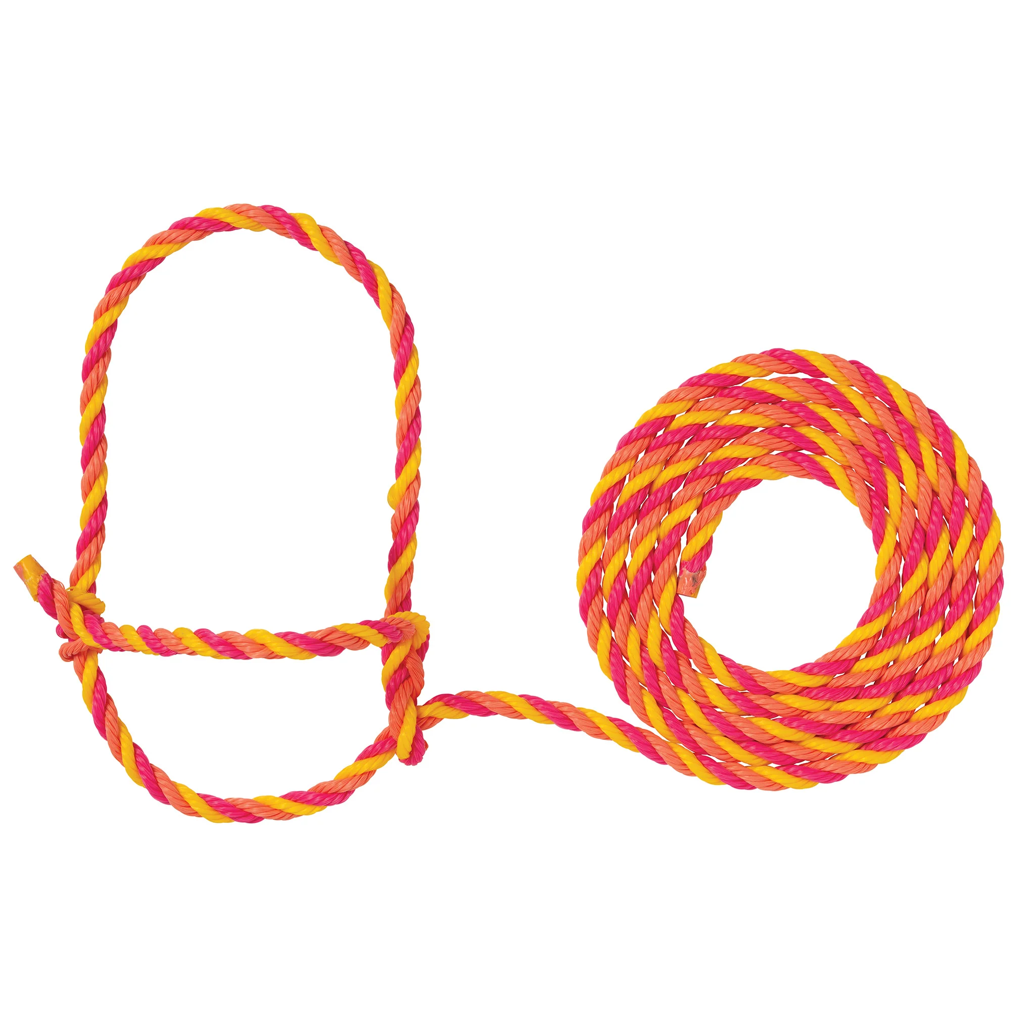 Cattle Rope Halter - Image 20