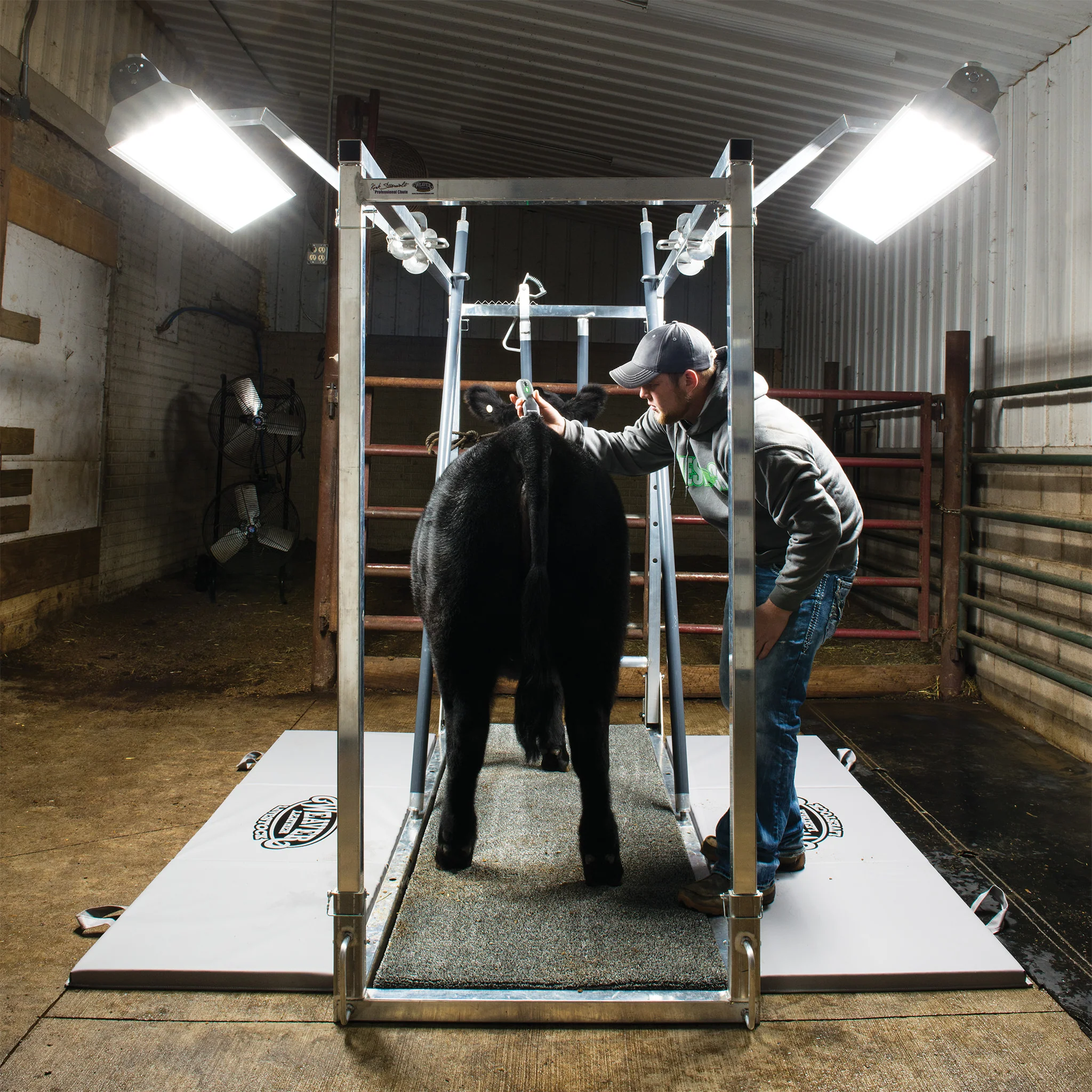 Chute Light - Image 4