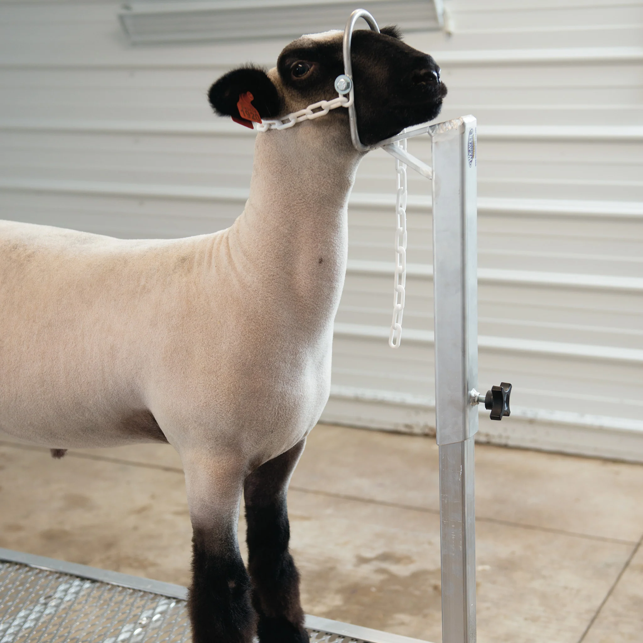 Complete Aluminum Trimming Stand - Image 14