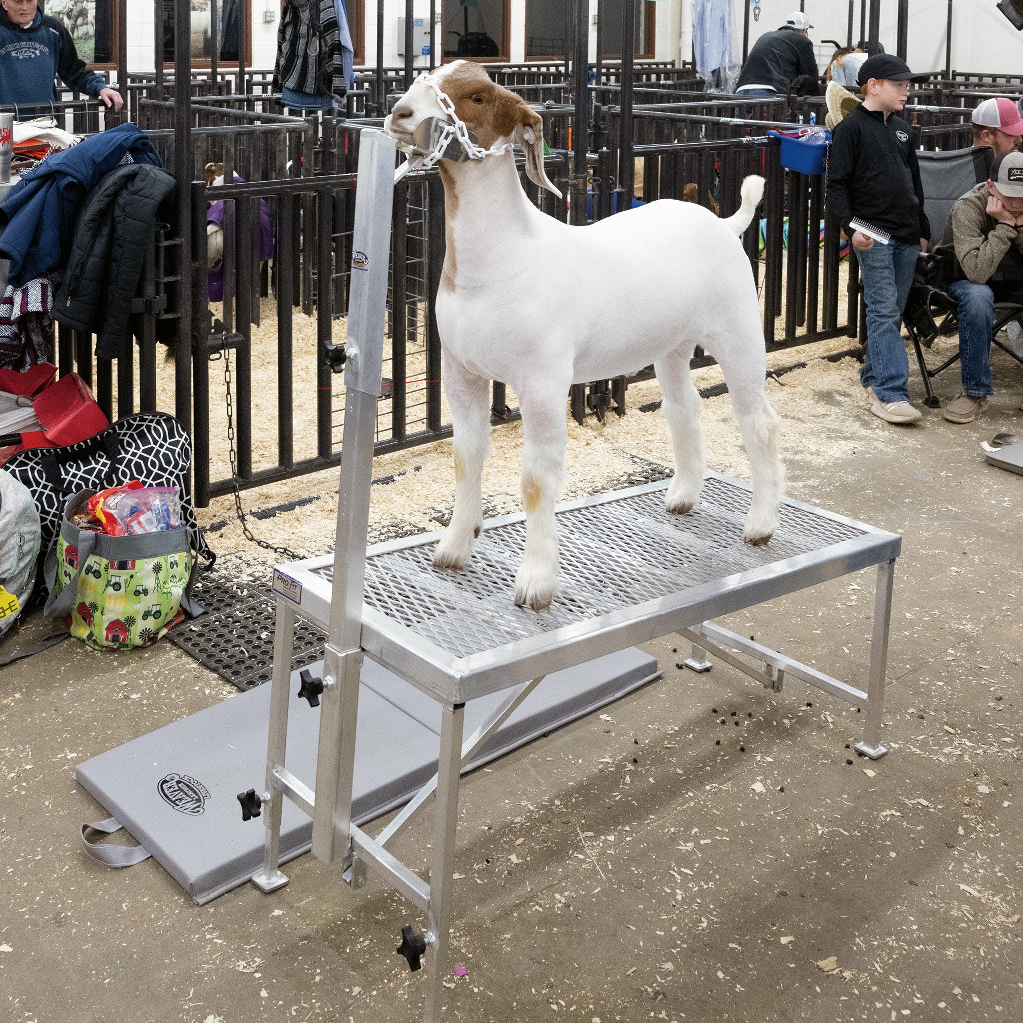 Complete Aluminum Trimming Stand - Image 18