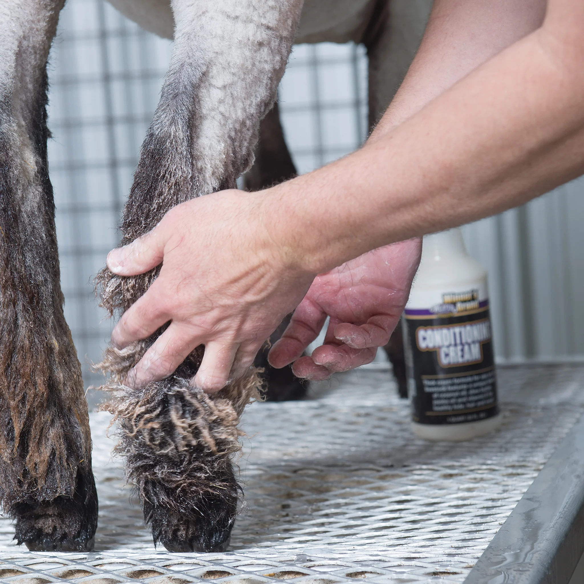 Conditioning Cream - Image 3