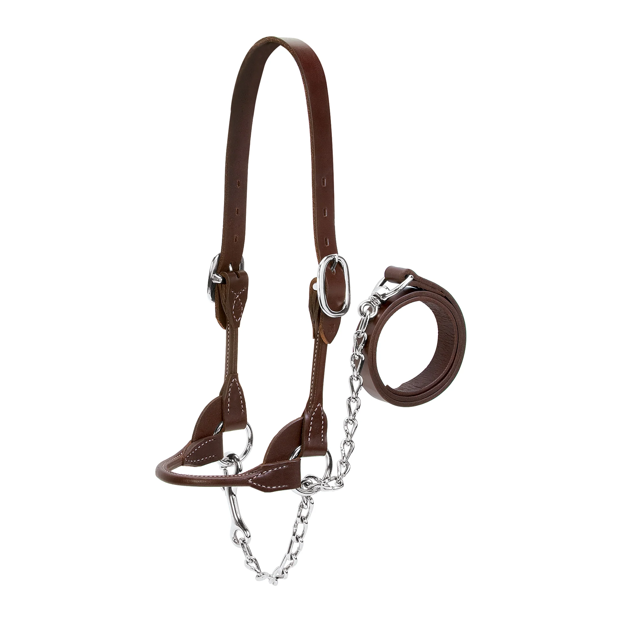 Dairy/Beef Rounded Show Halter - Image 3