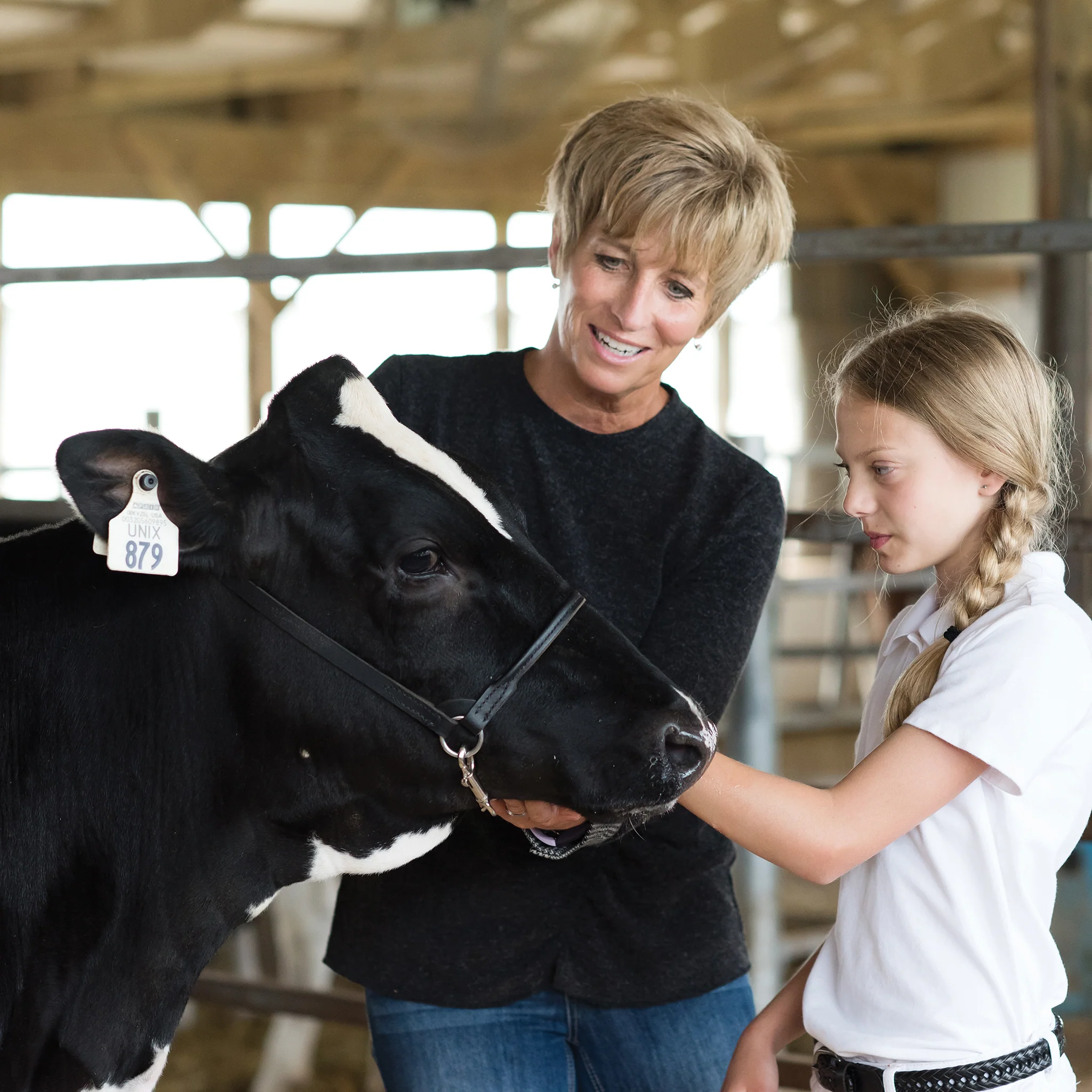Dairy Show Halter - Image 3