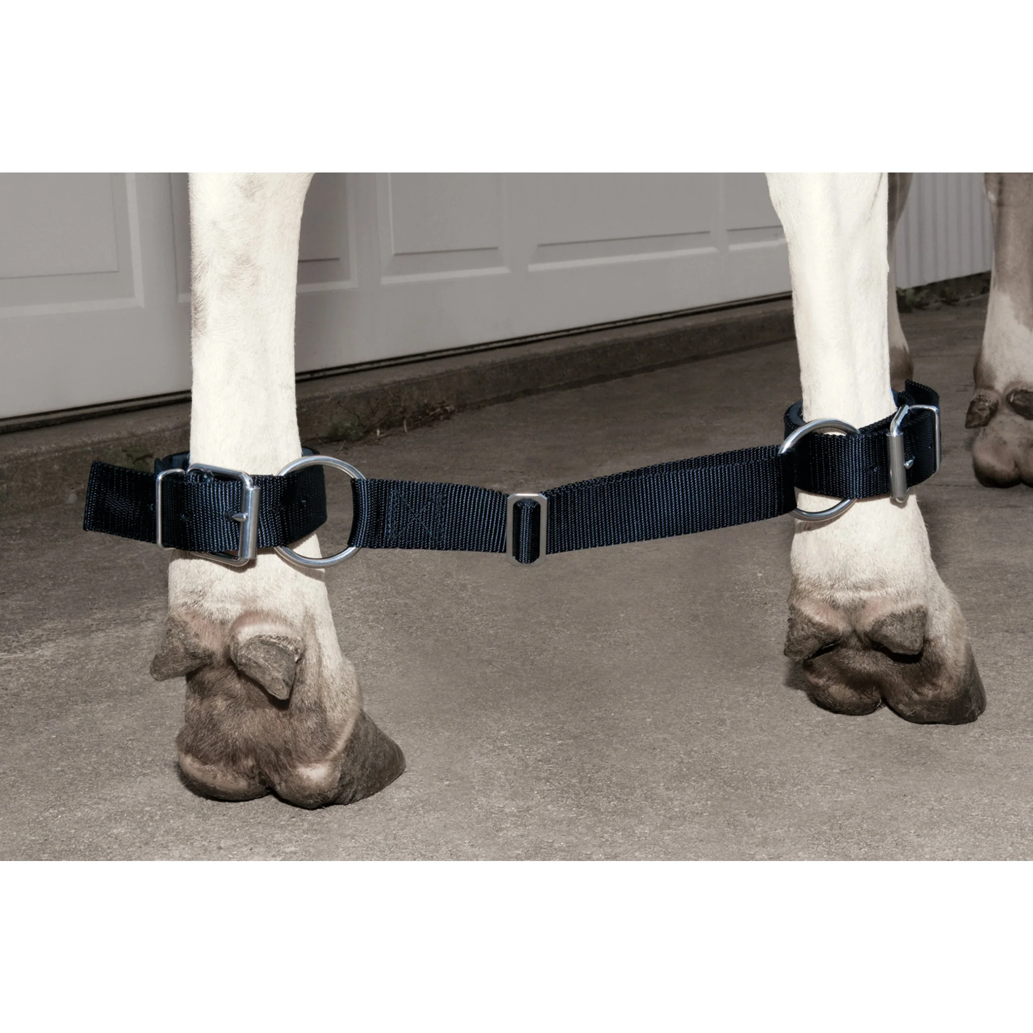Deluxe Adjustable Cow Hobbles - Image 2