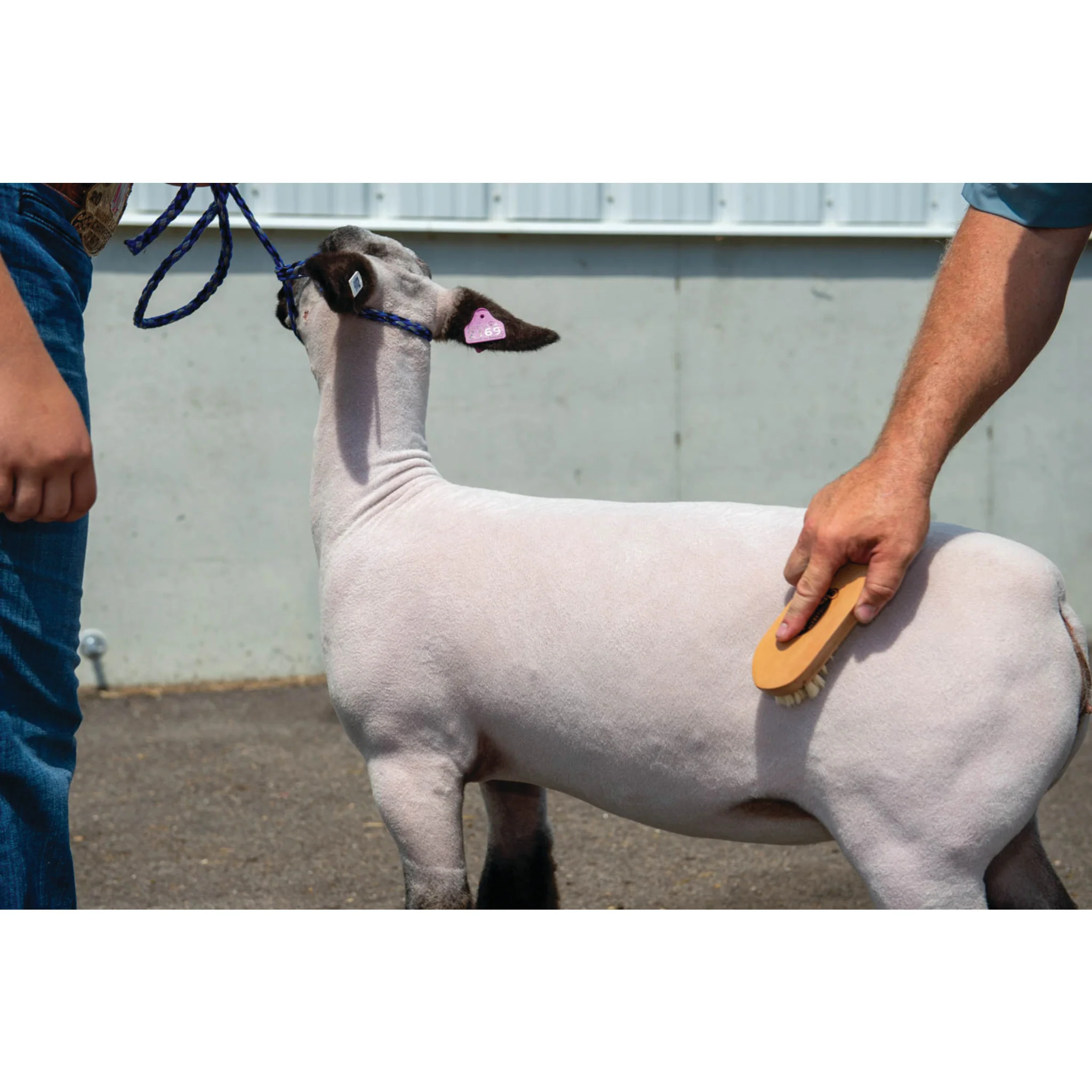 Goat Hair Brush - Image 3