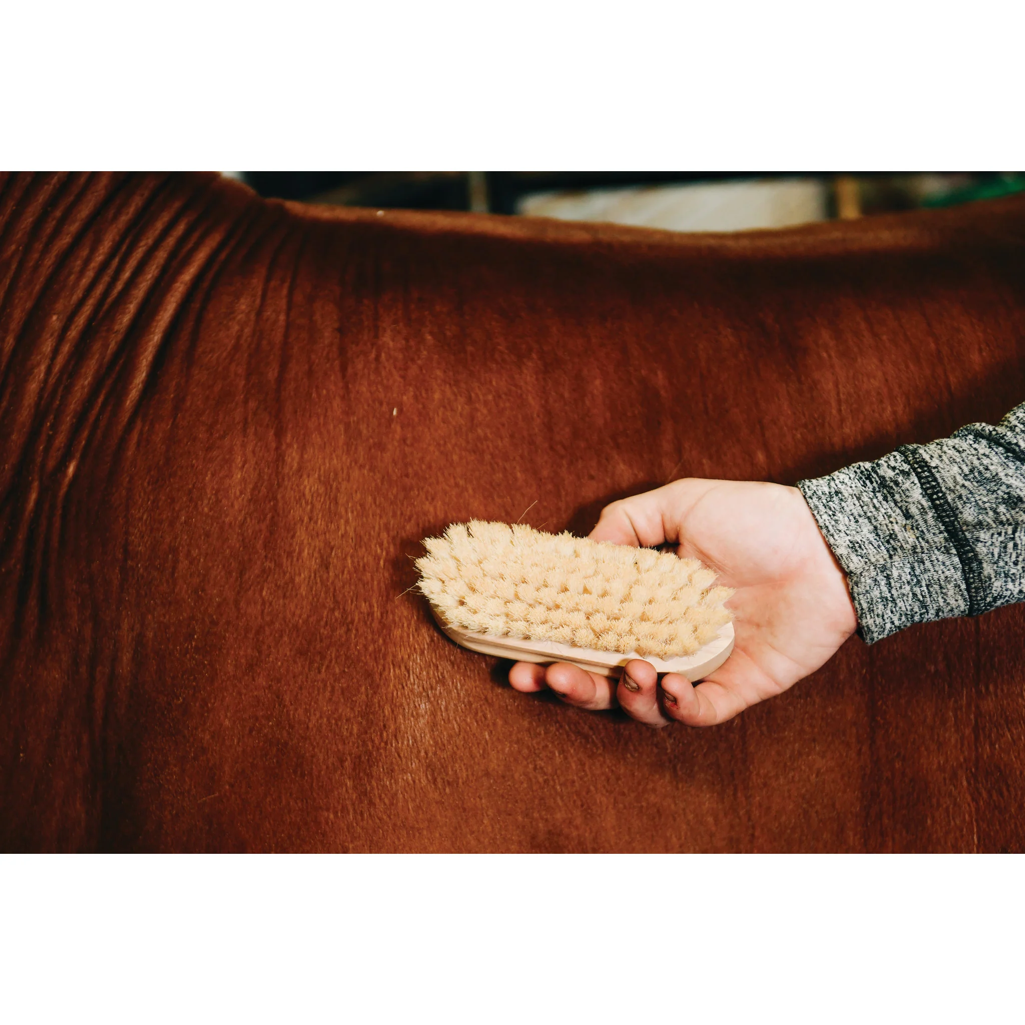 Goat Hair Brush - Image 5