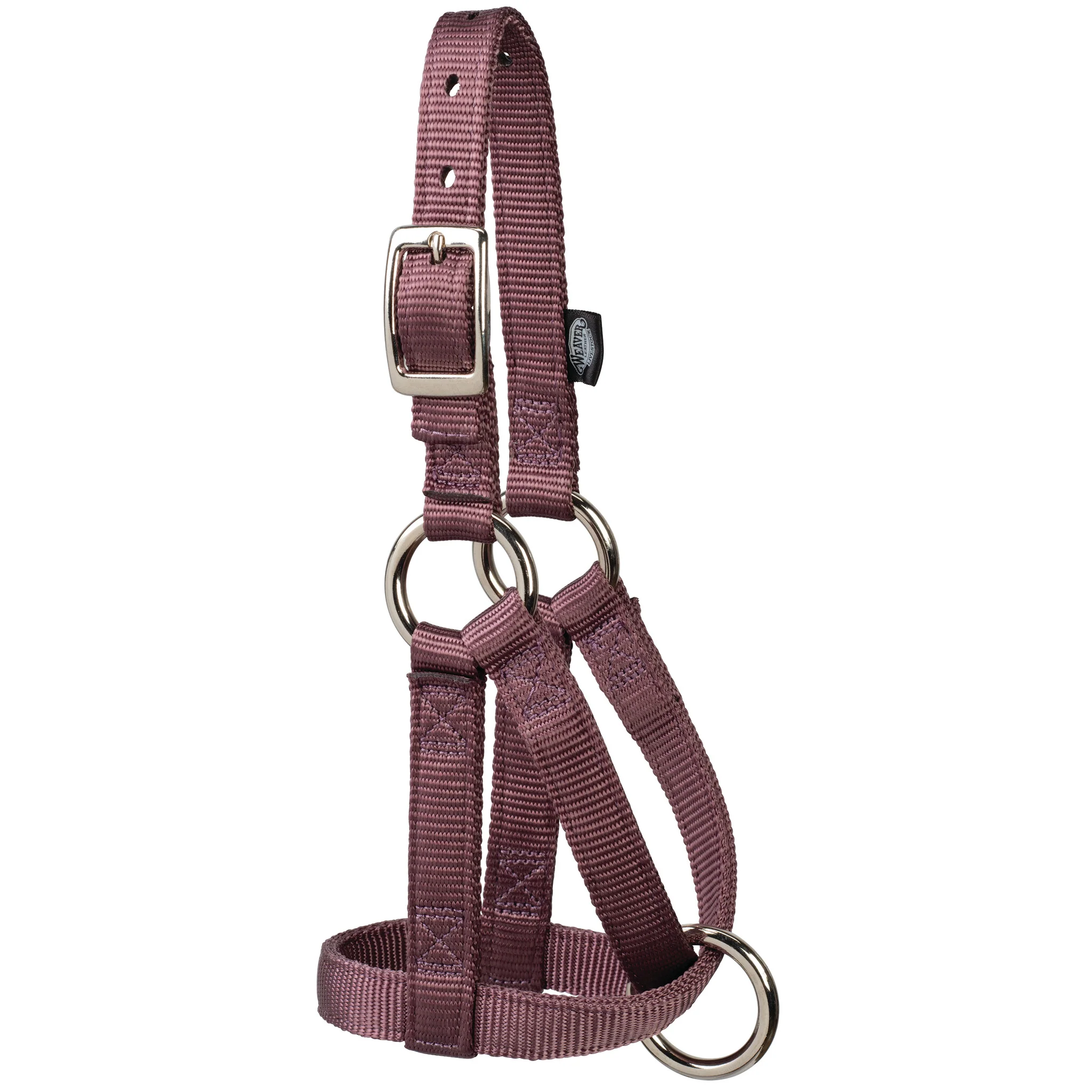 Nylon Goat Halter - Image 2