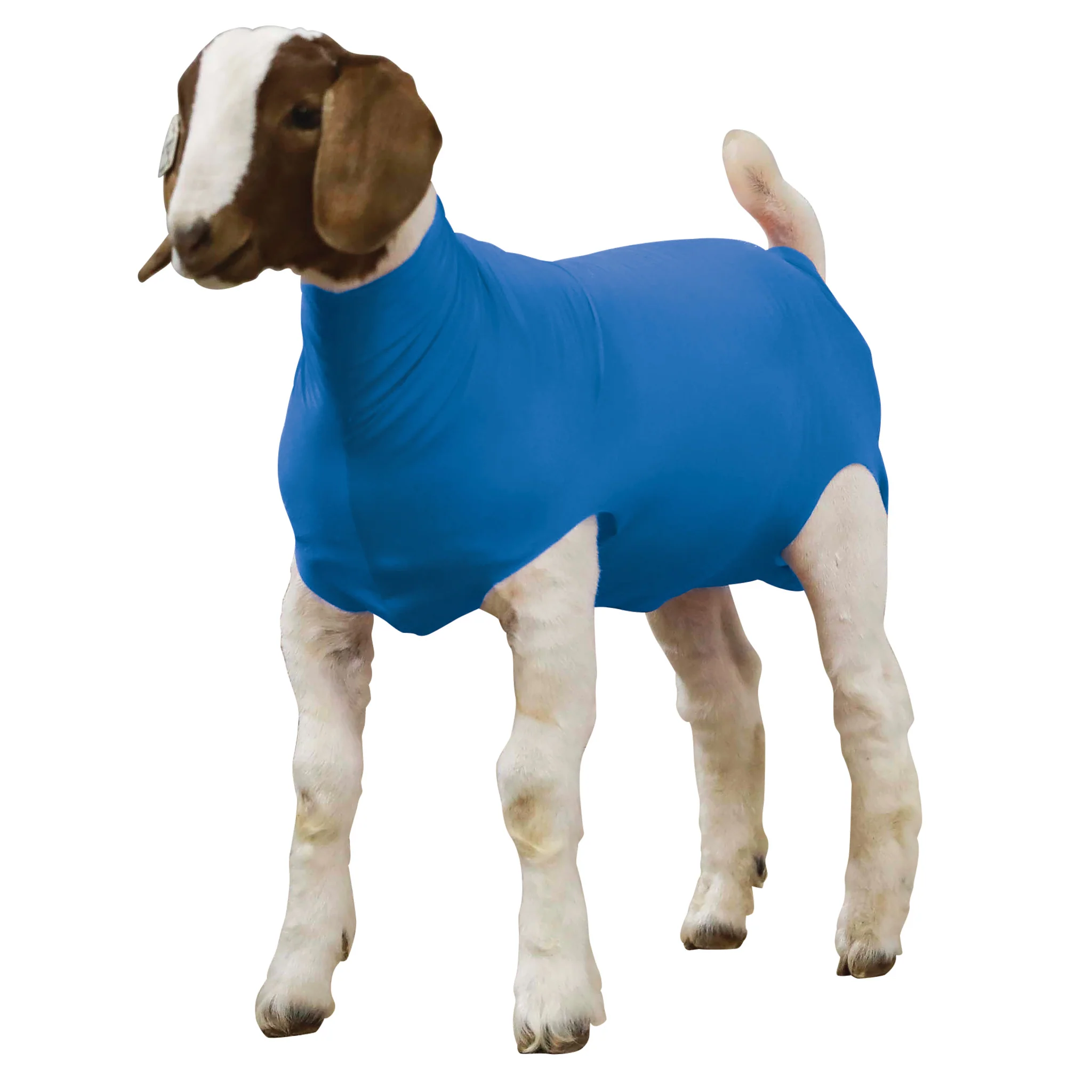 Spandex Goat Tube - Image 2