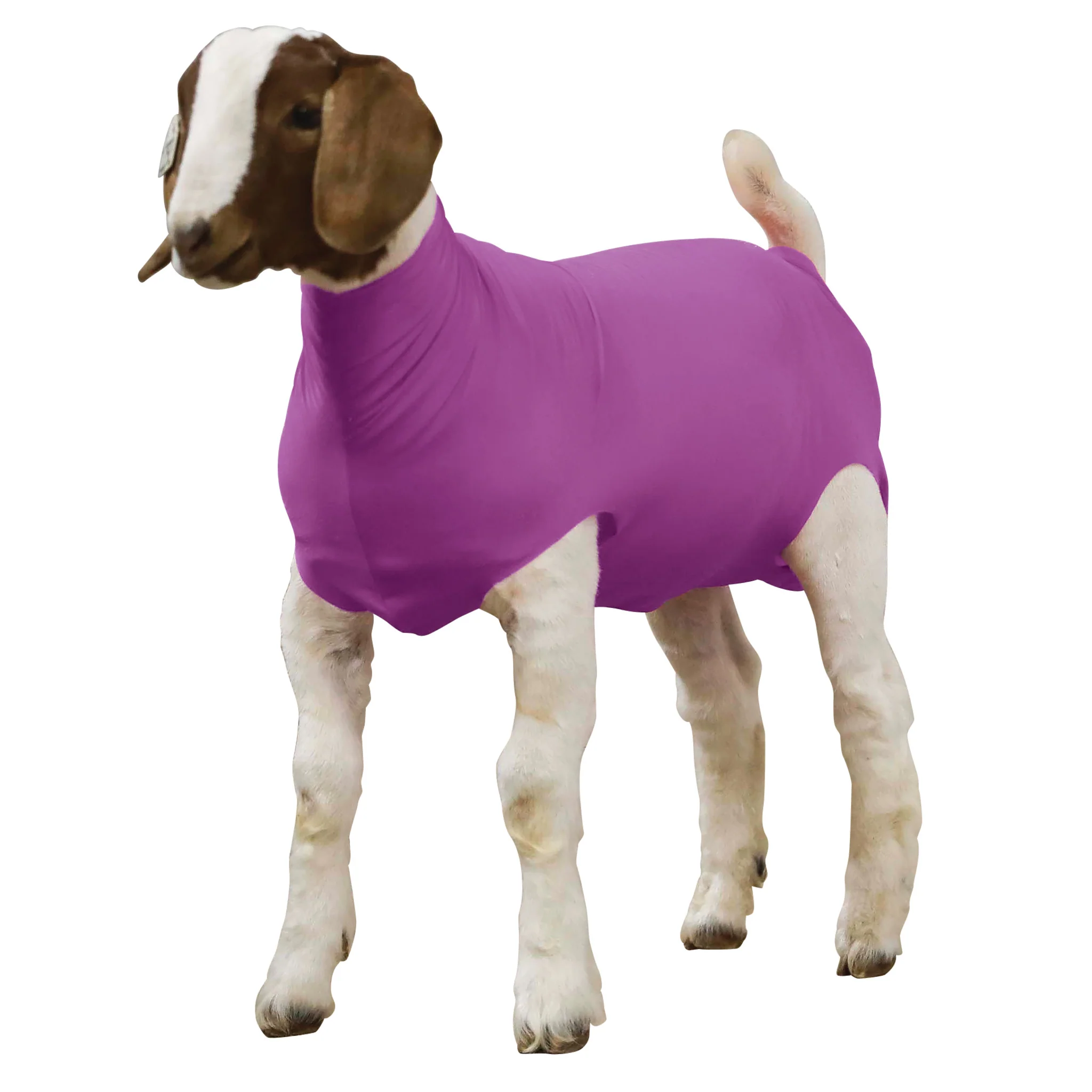 Spandex Goat Tube - Image 3