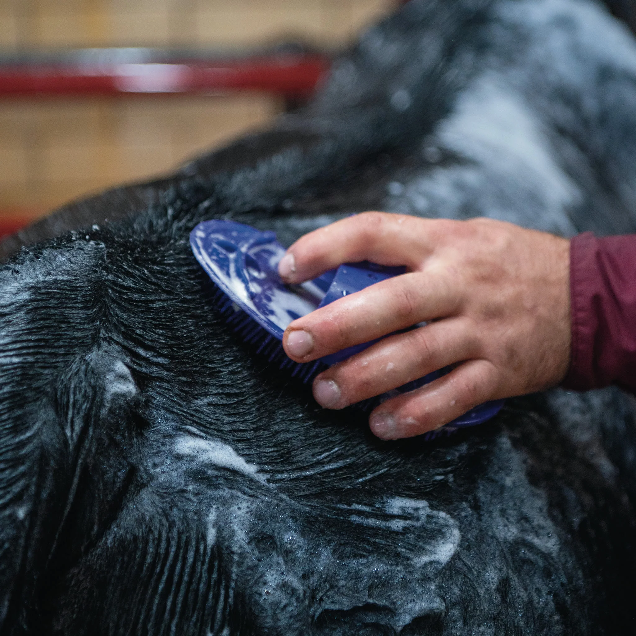 Massage Brush - Image 13