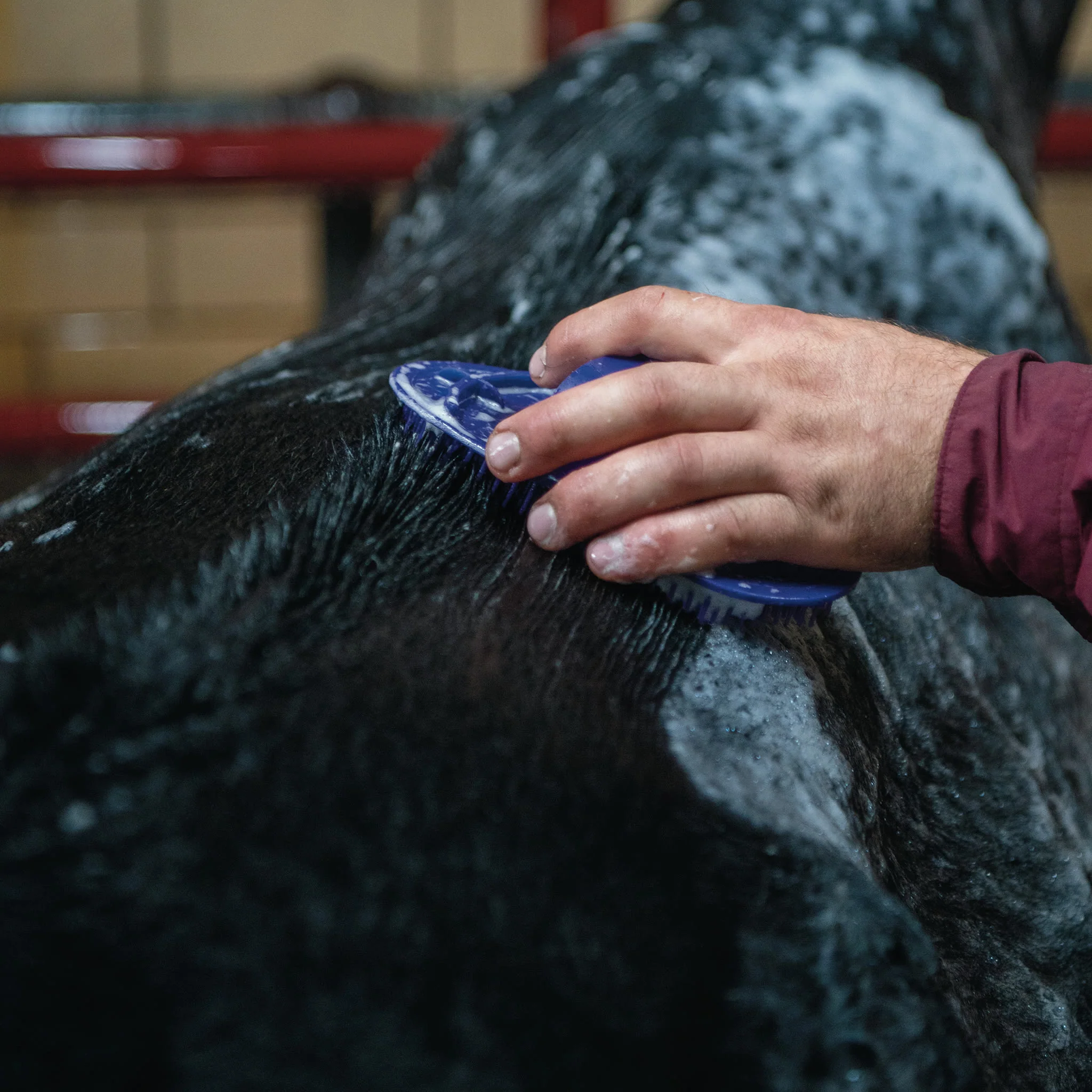 Massage Brush - Image 17