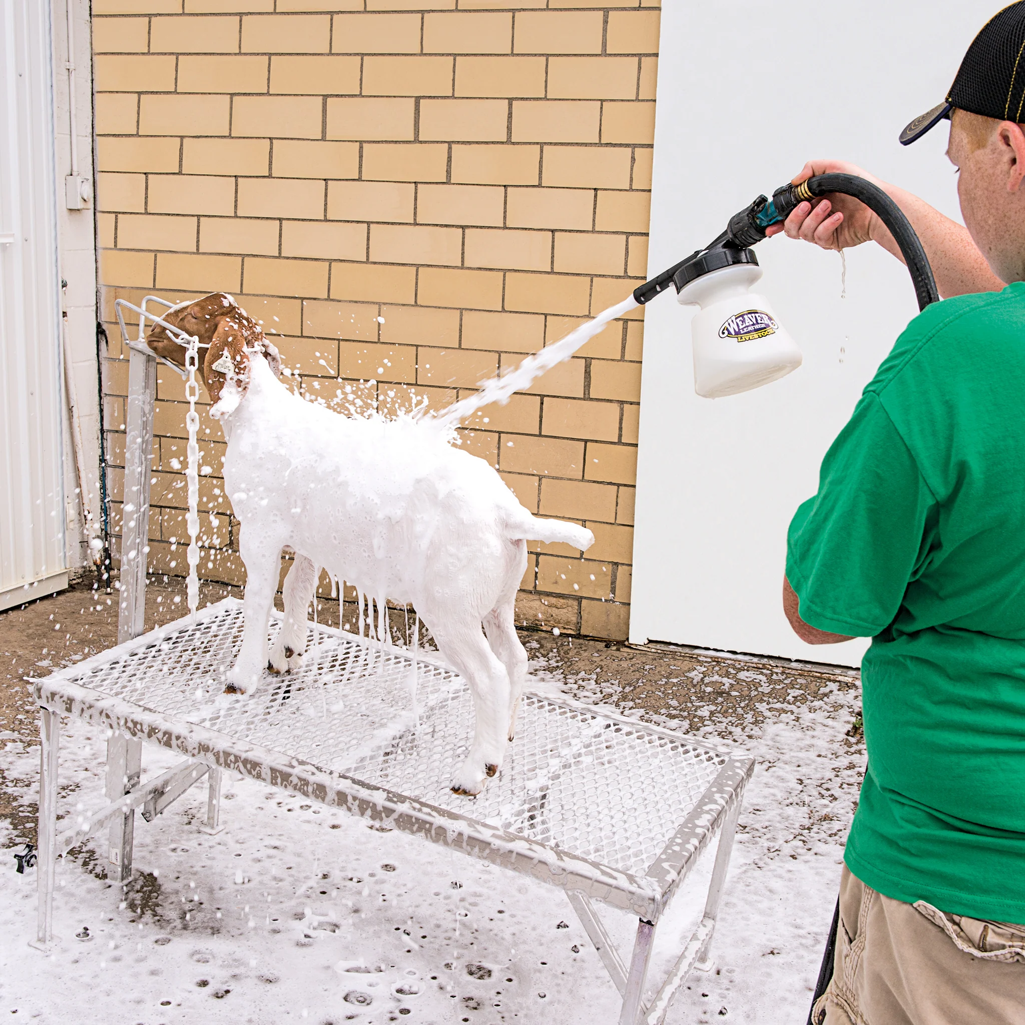 Mild Foam Shampoo - Image 3