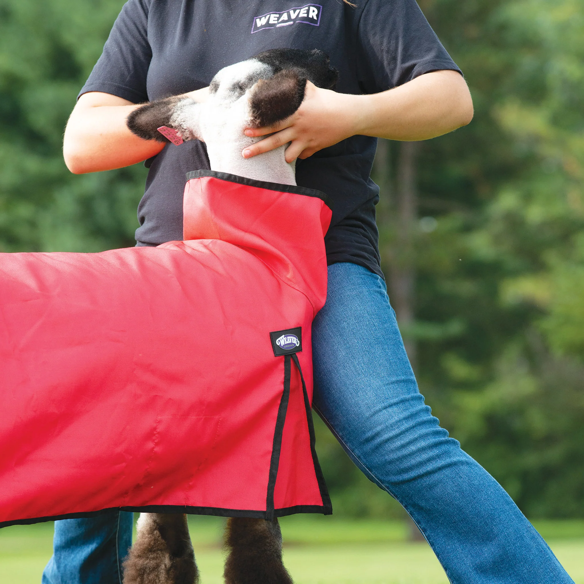 Nylon Sheep Blanket with Solid Butt - Image 5