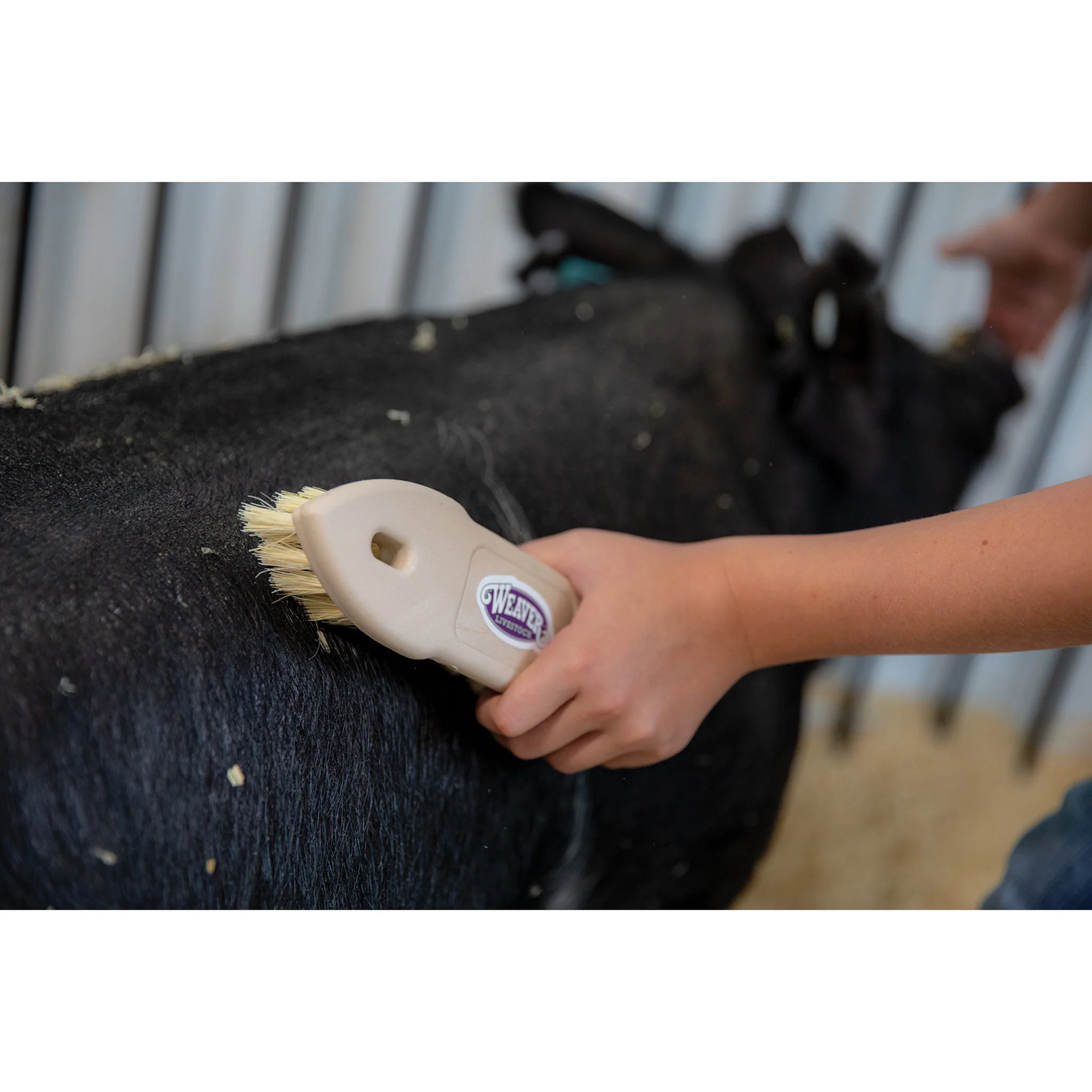 Plastic Tampico Pig Brush - Image 6