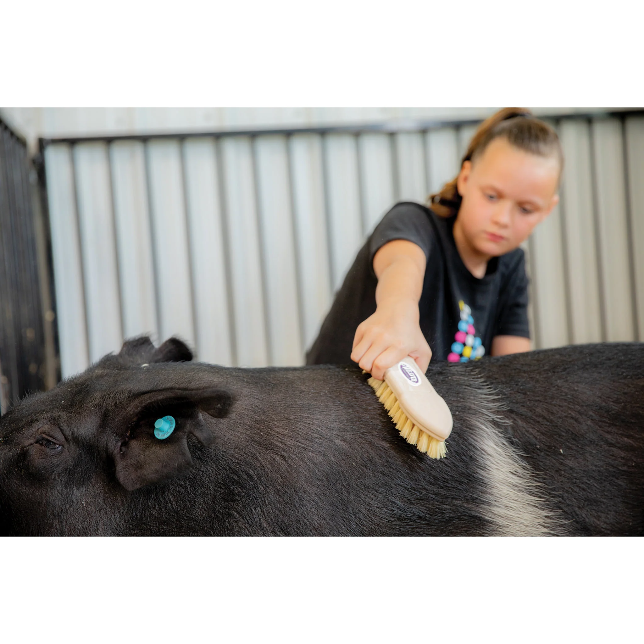 Plastic Tampico Pig Brush - Image 7