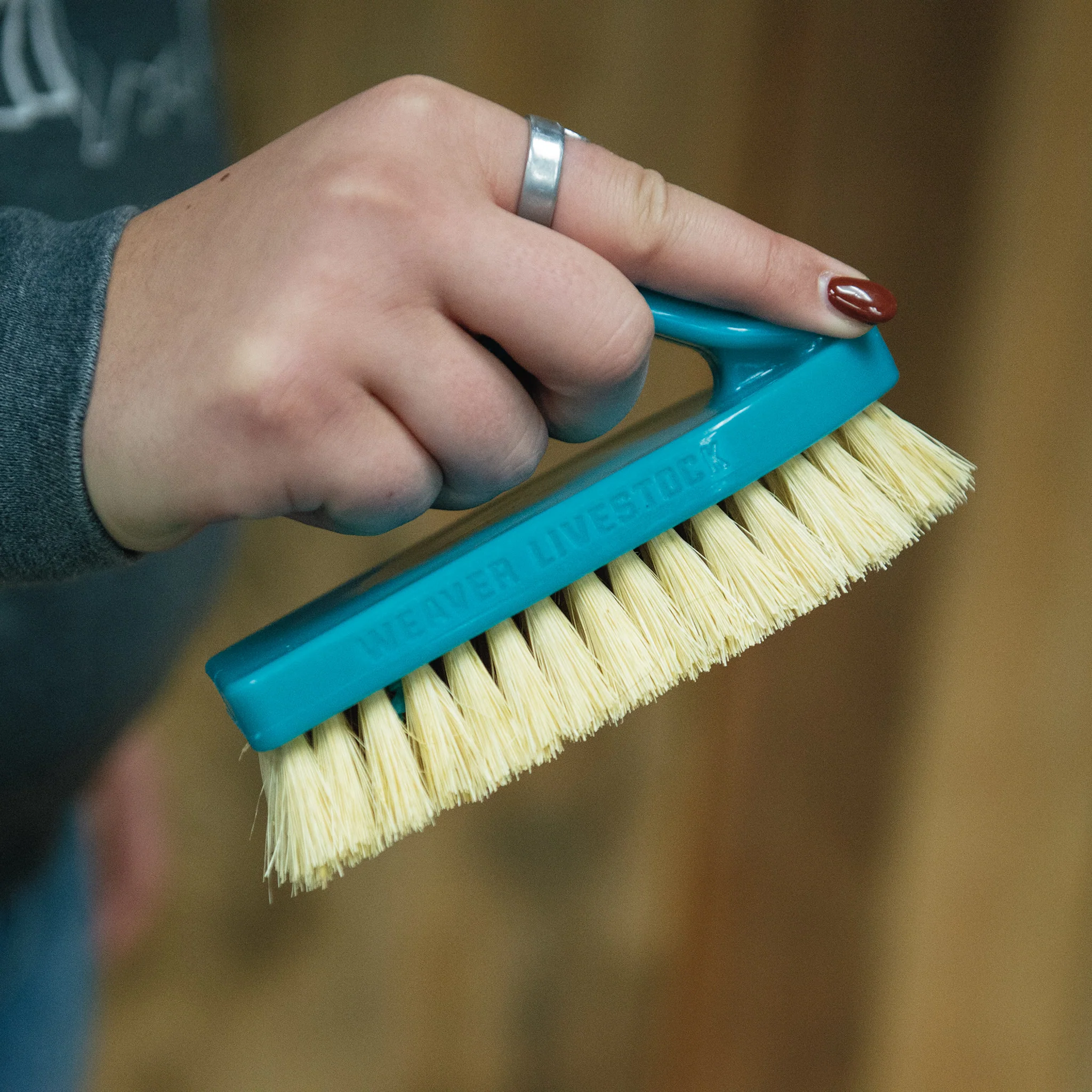 Plastic Tampico Pig Brush with Handle - Image 57