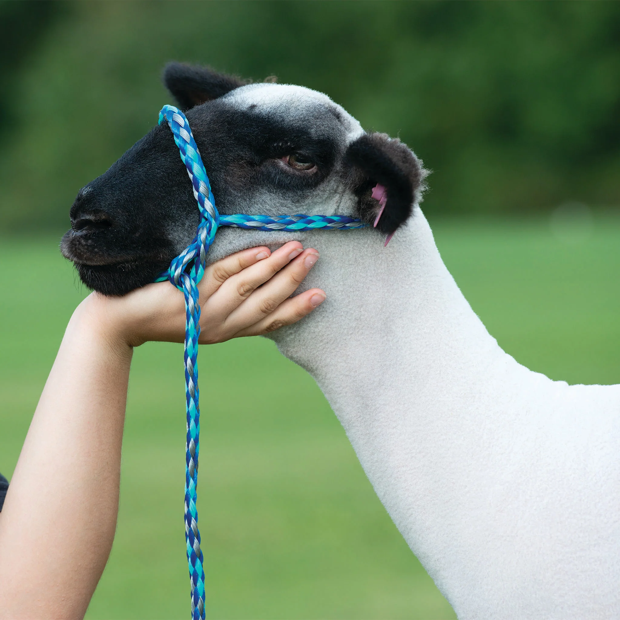 Poly Rope Halter - Image 15