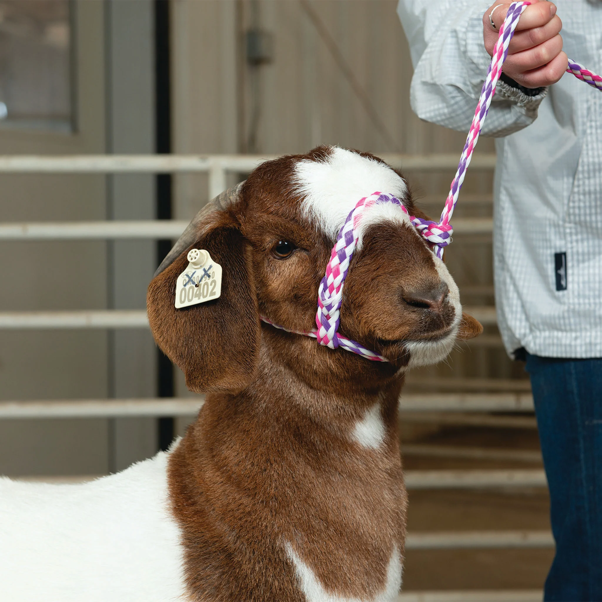 Poly Rope Halter - Image 17