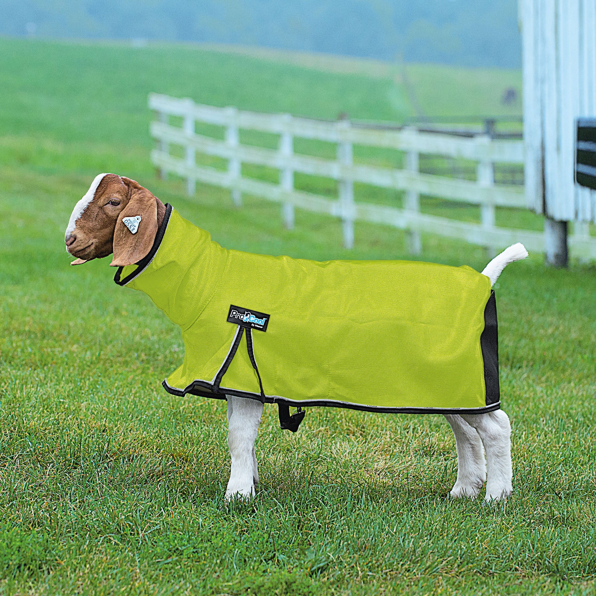 ProCool™ Goat Blanket with Reflective Piping, Mesh Butt - Image 11