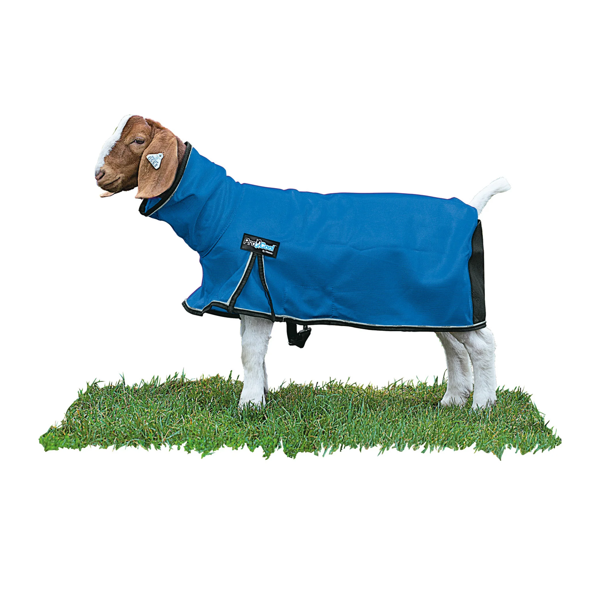 ProCool™ Goat Blanket with Reflective Piping, Mesh Butt - Image 5