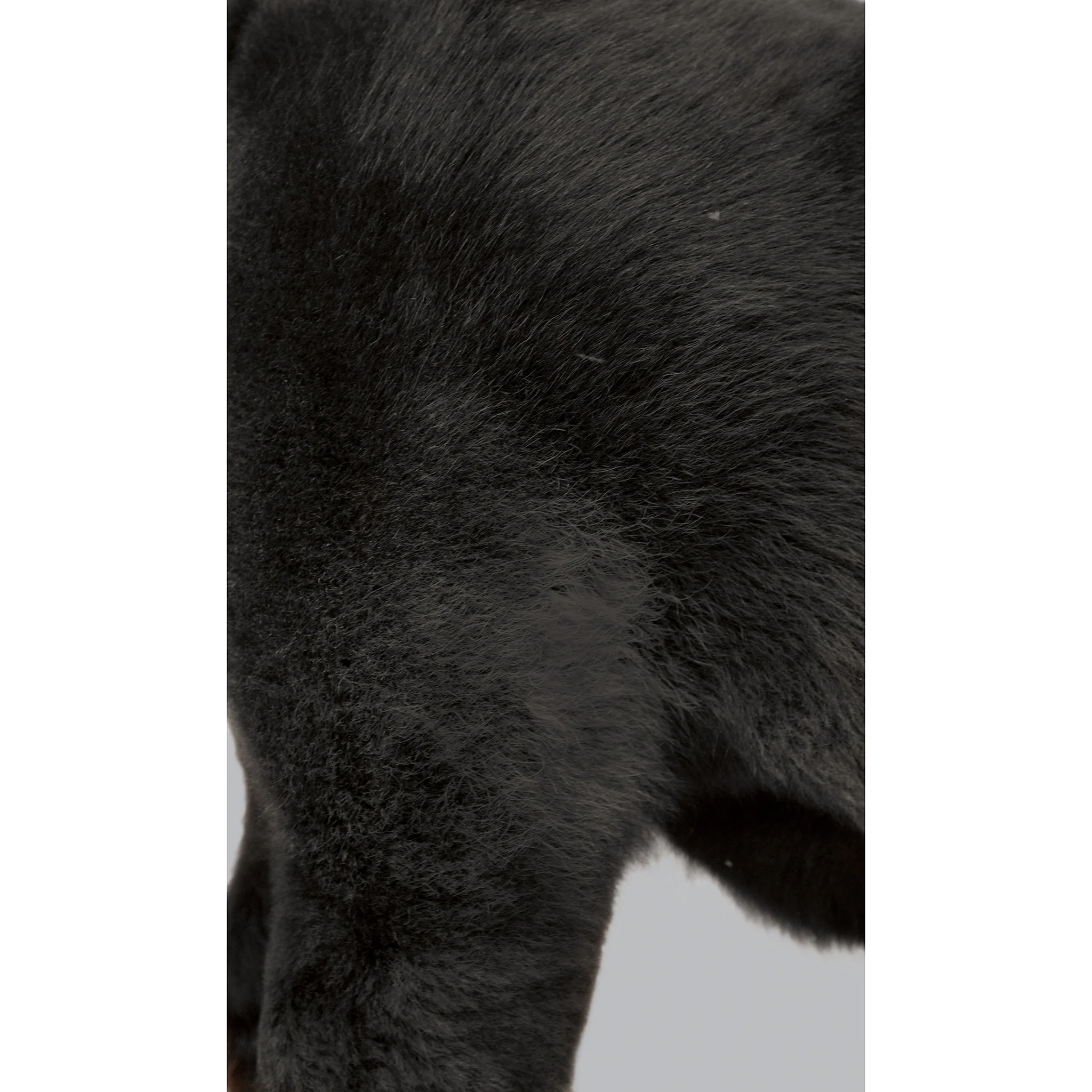 ProDye, Black - Image 13