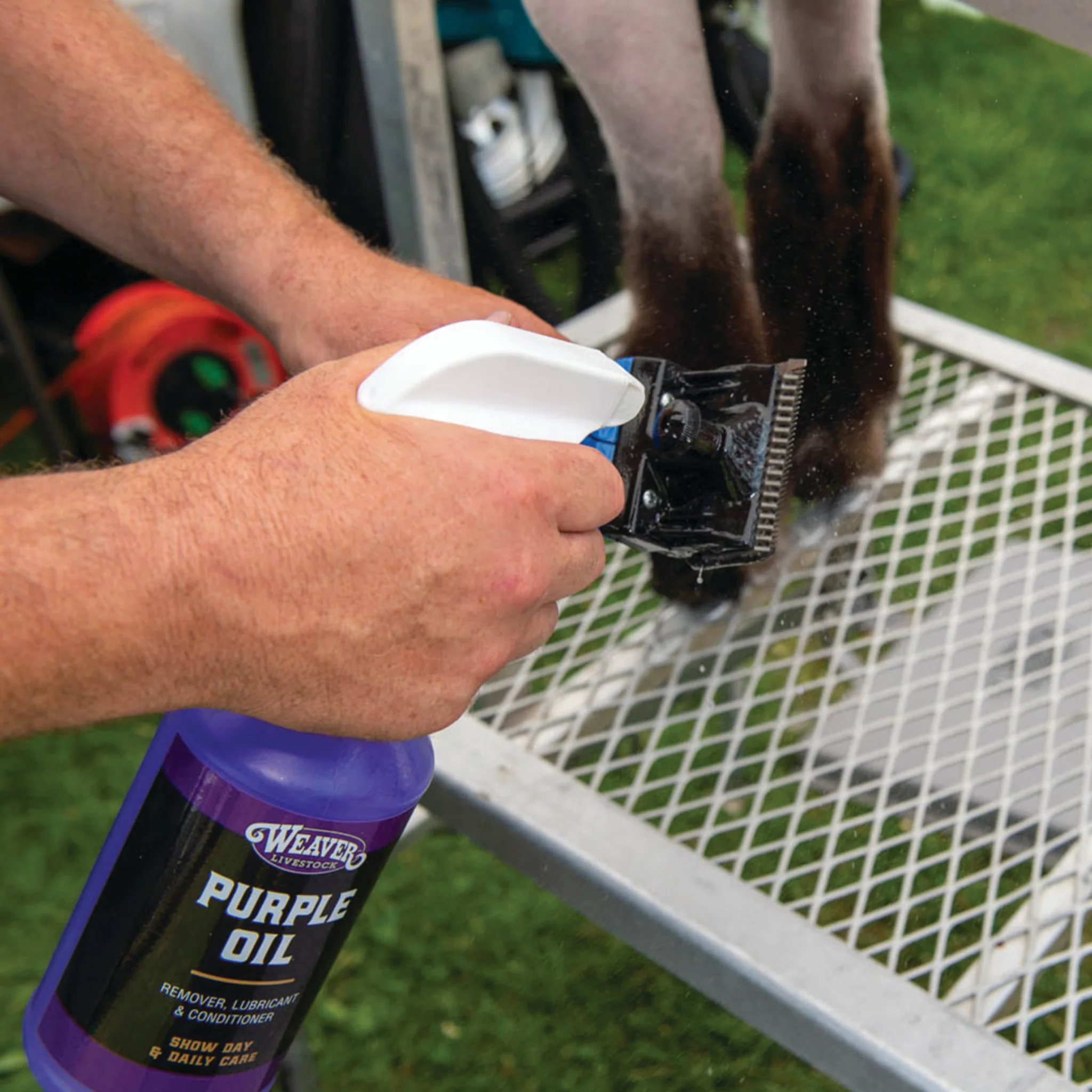 Purple Oil - Image 3