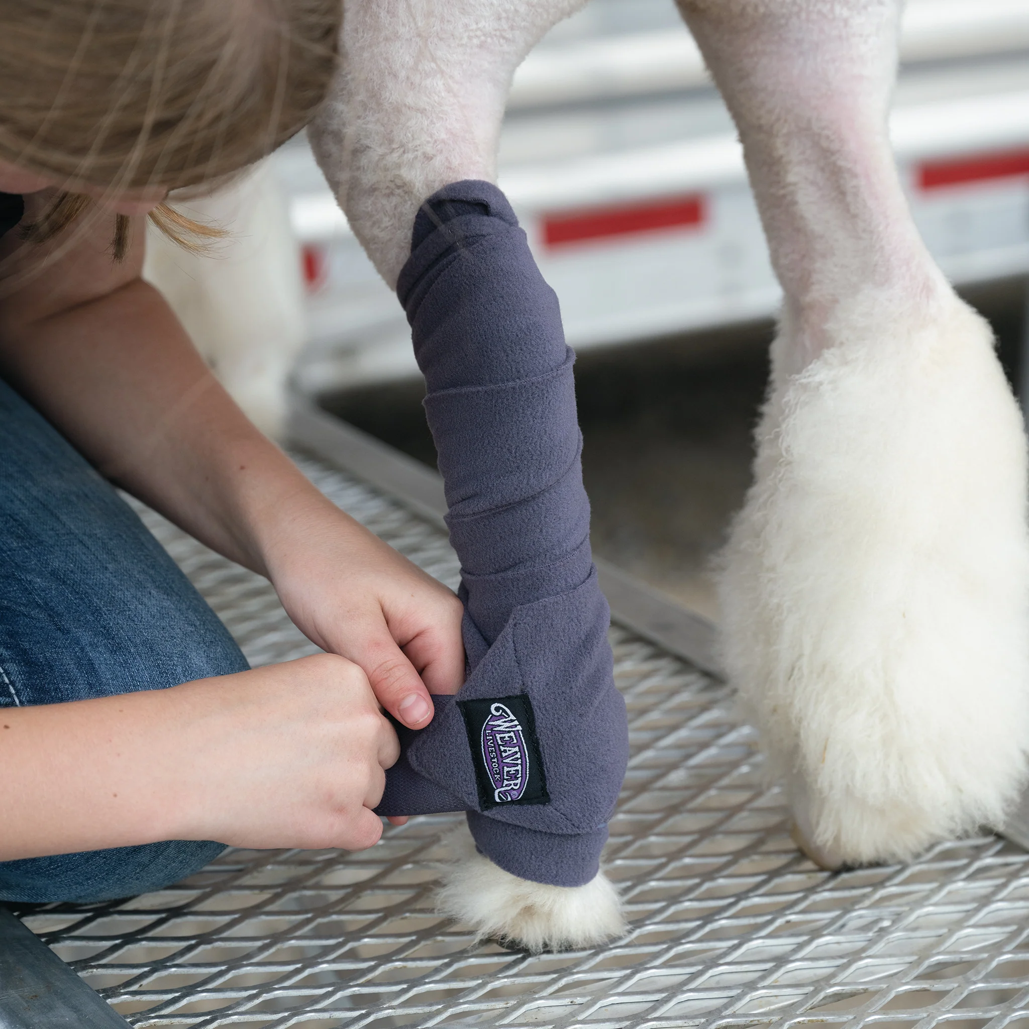Sheep & Goat Fleece Leg Wraps, 4" x 56" - Image 5