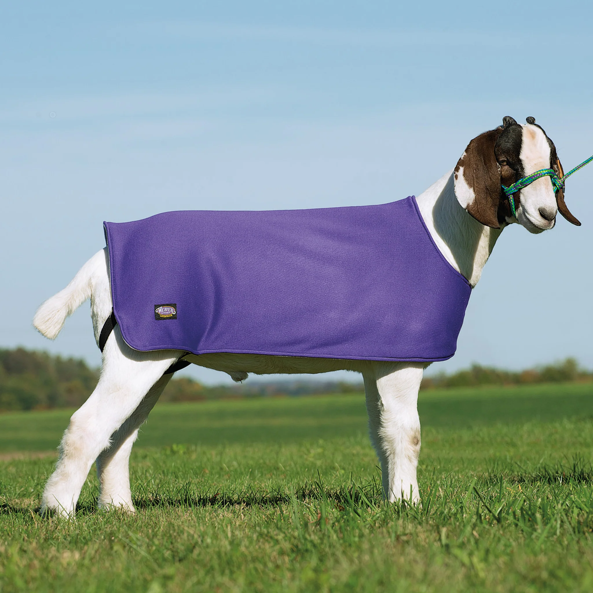 Sheep and Goat Underblanket - Image 4