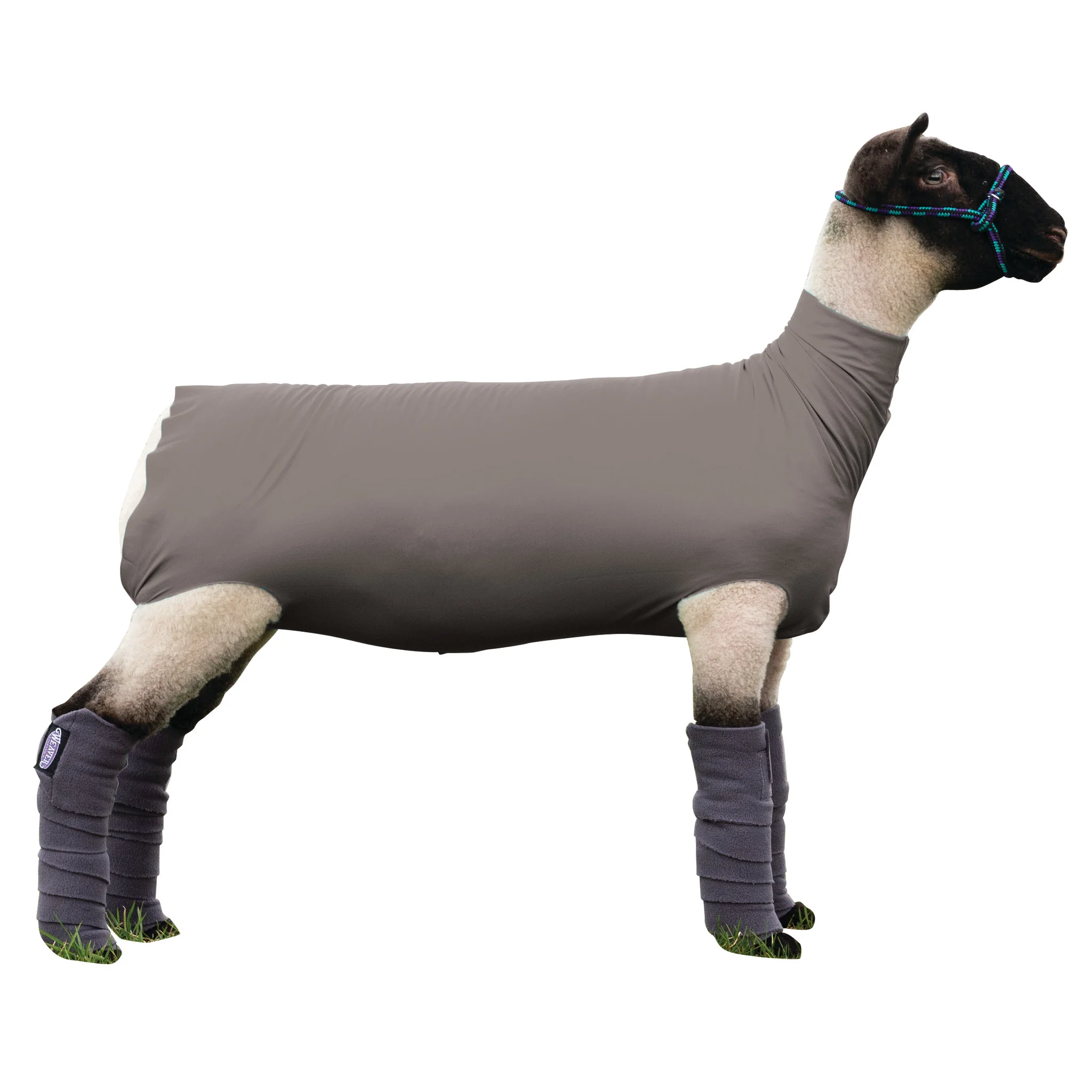 Spandex Sheep Tube - Image 3