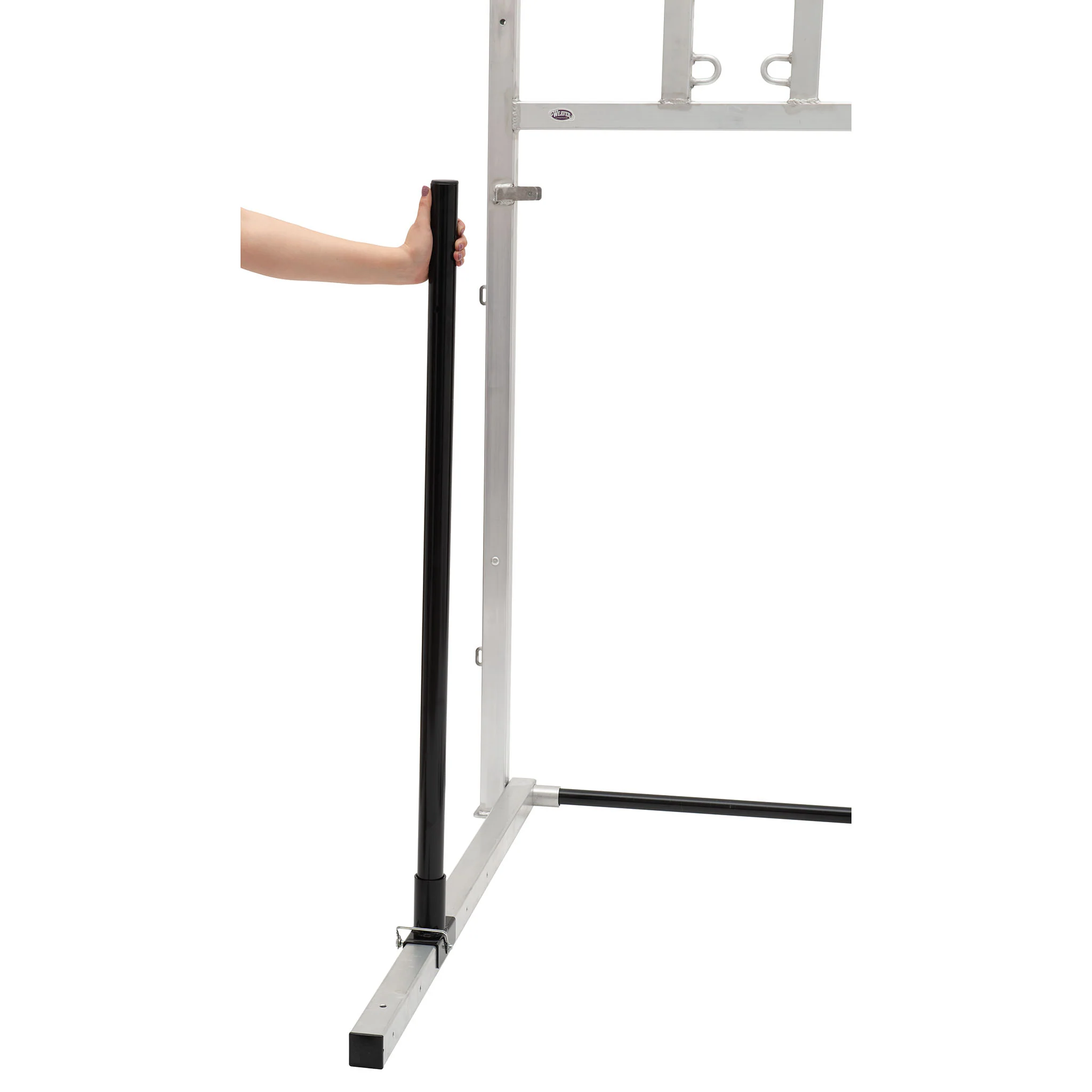Stall Chute - Image 12