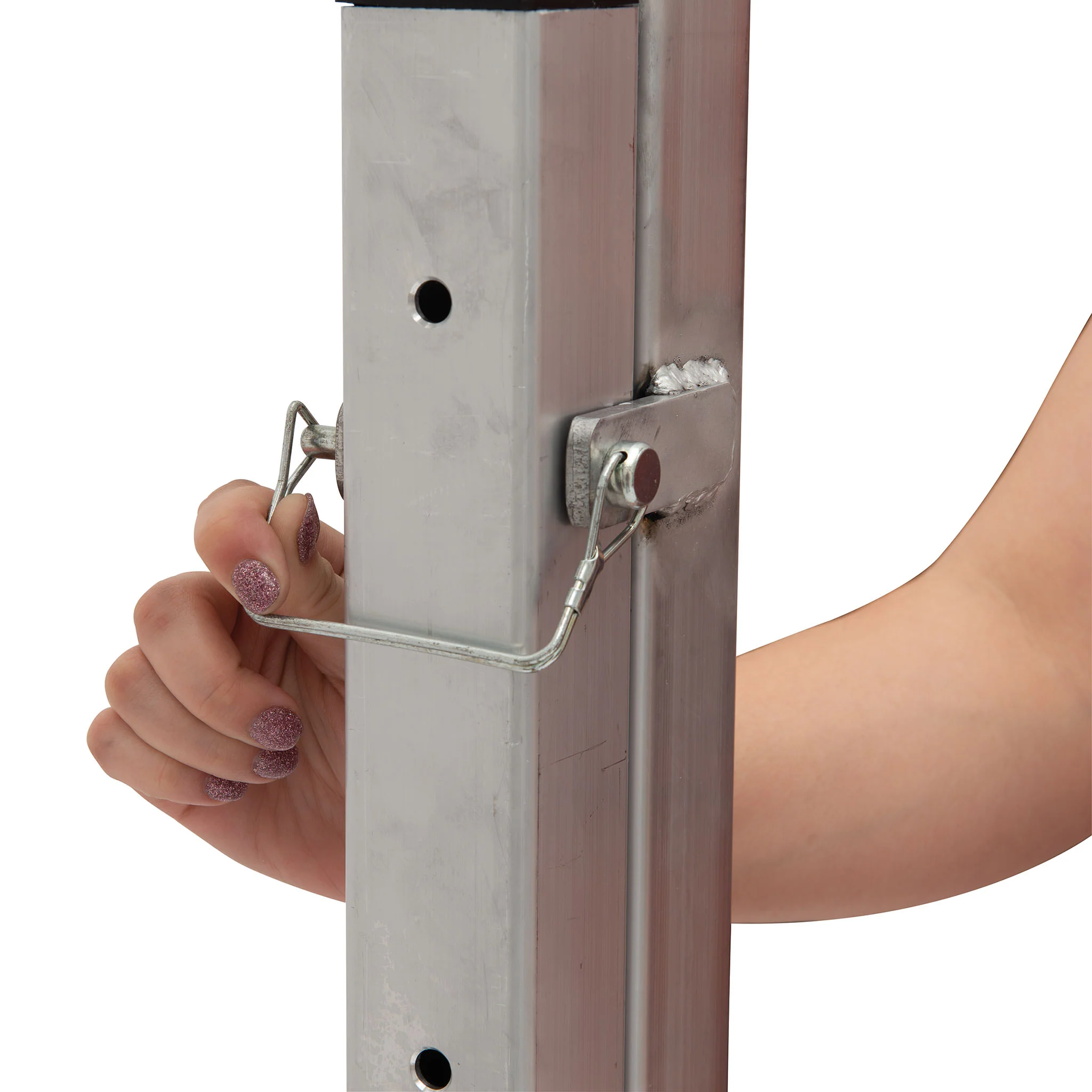 Stall Chute - Image 8