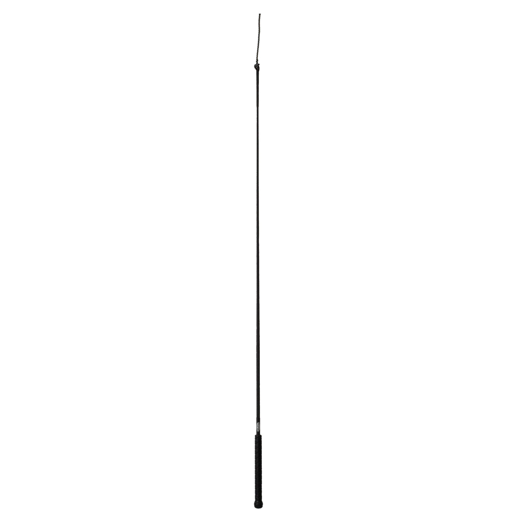Whip with Replaceable Popper