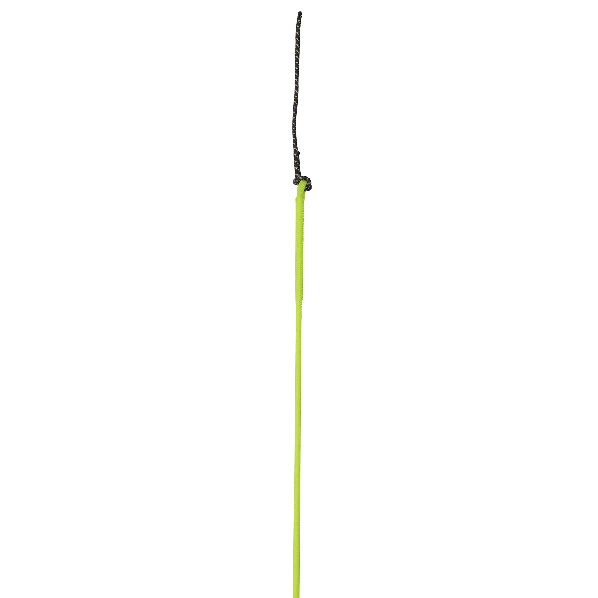 Whip with Replaceable Popper - Image 15