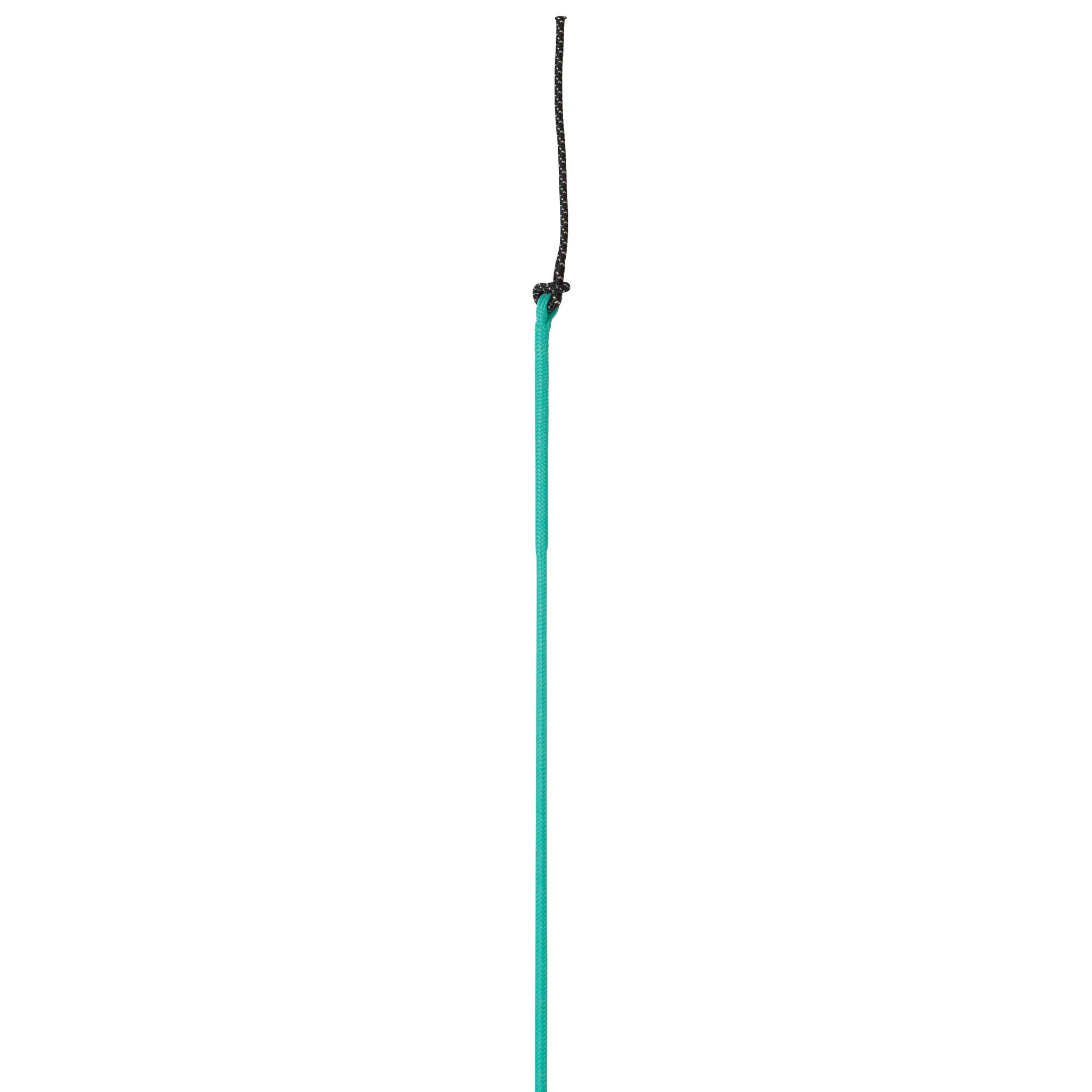 Whip with Replaceable Popper - Image 17
