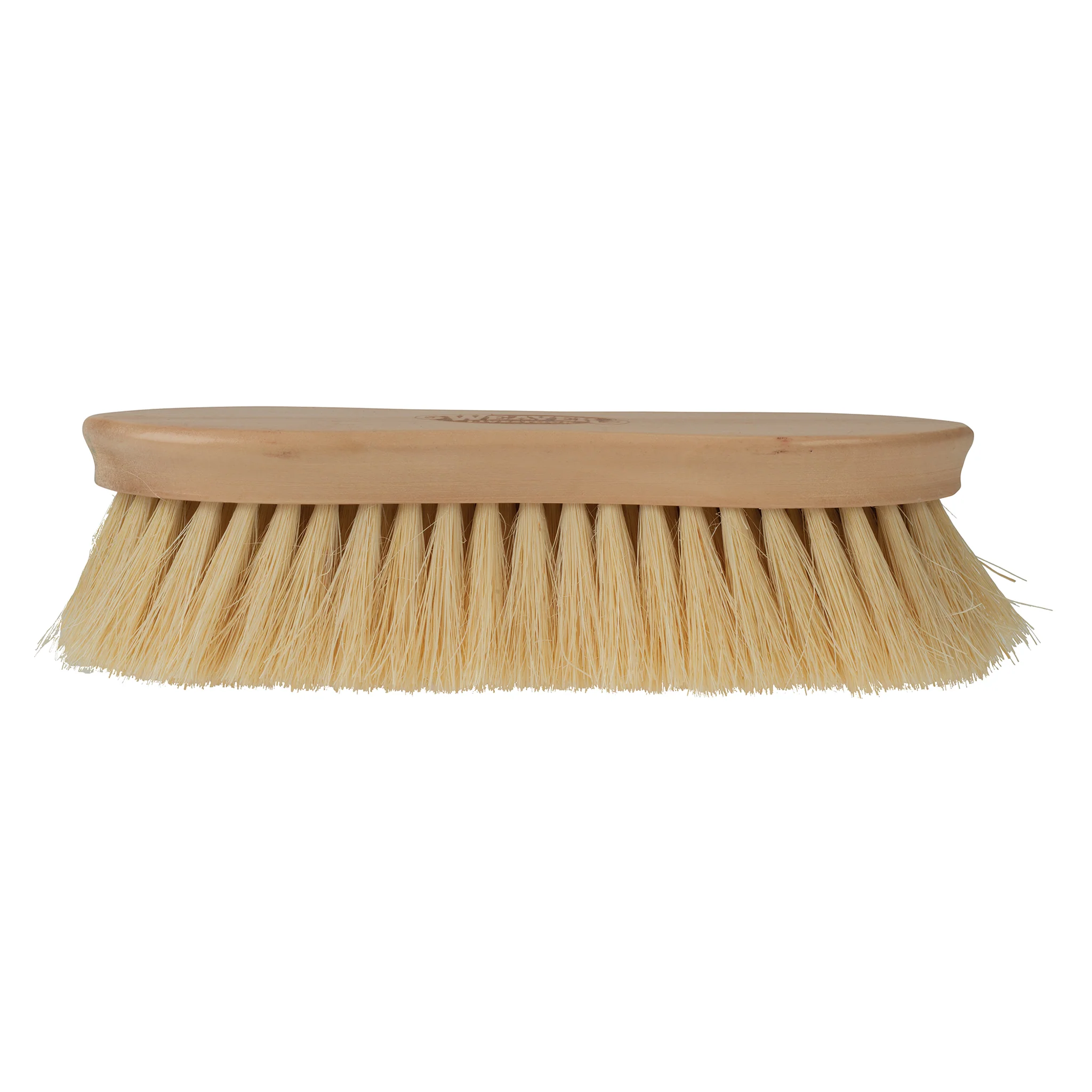 Wooden Tampico Pig Brush - Image 2